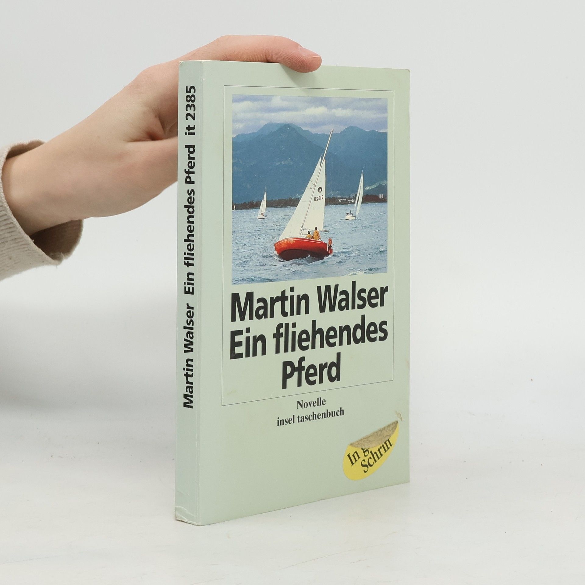 Martin Walser Insel Taschenbuch - 2385: Ein fliehendes Pferd