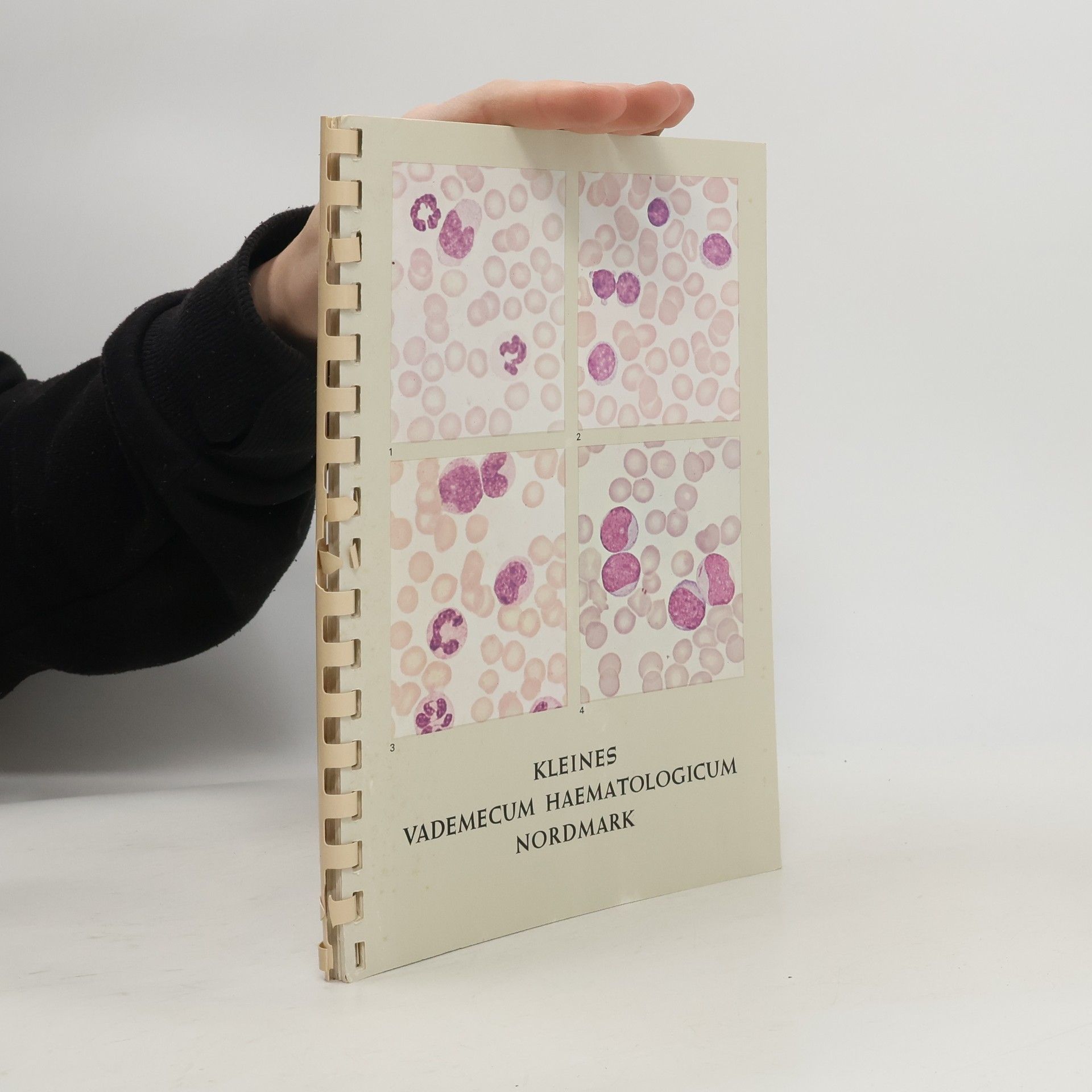 F. Wendt  Kleines Vademecum Haematologicum Normark