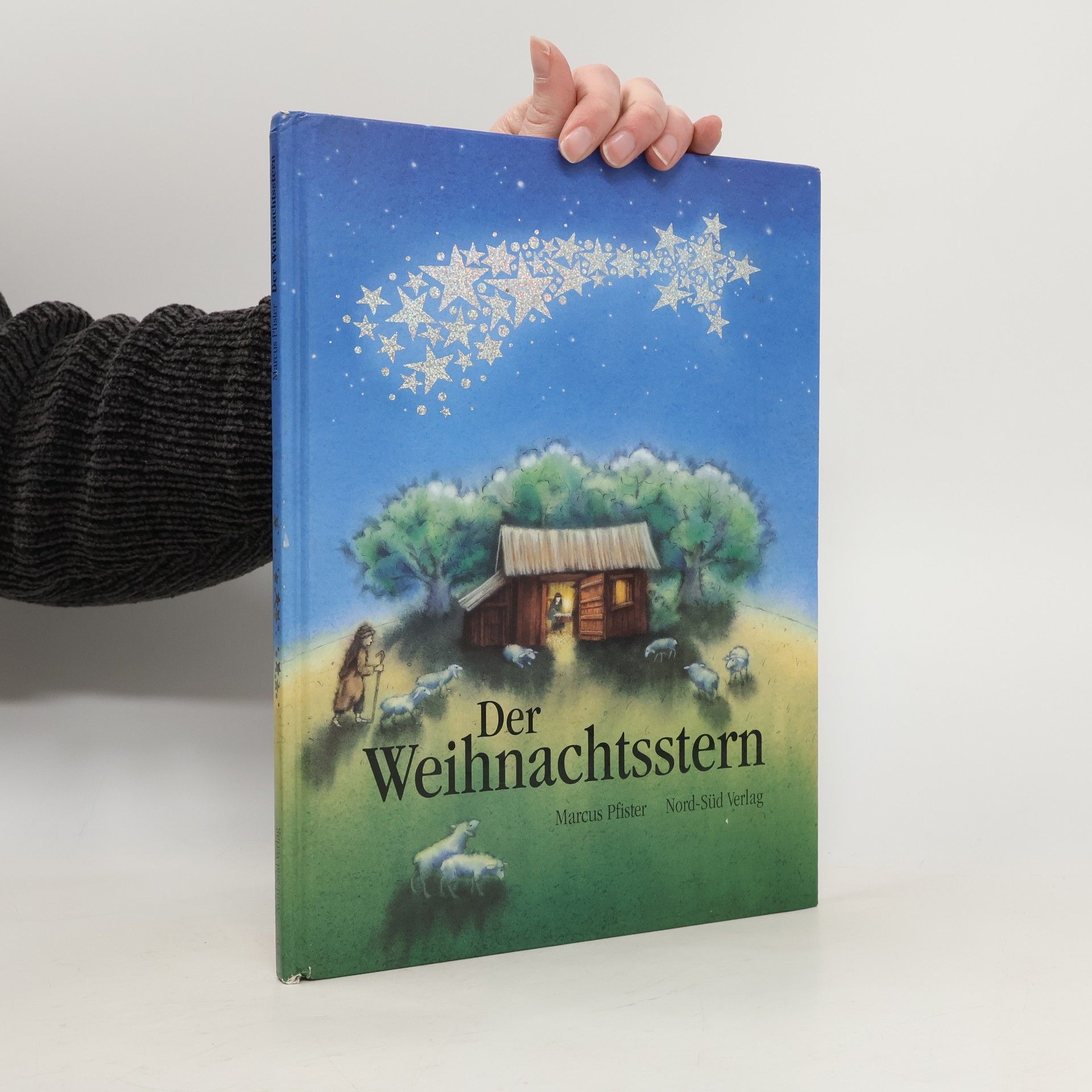 Marcus Pfister Der Weihnachtsstern