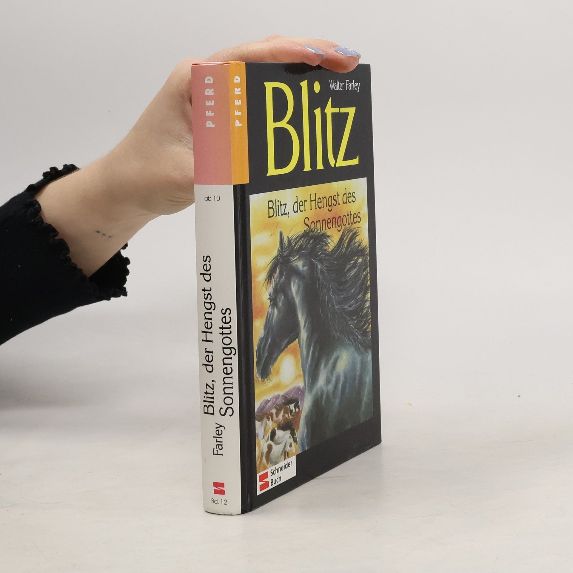 Walter Farley Blitz, der Hengst des Sonnengottes