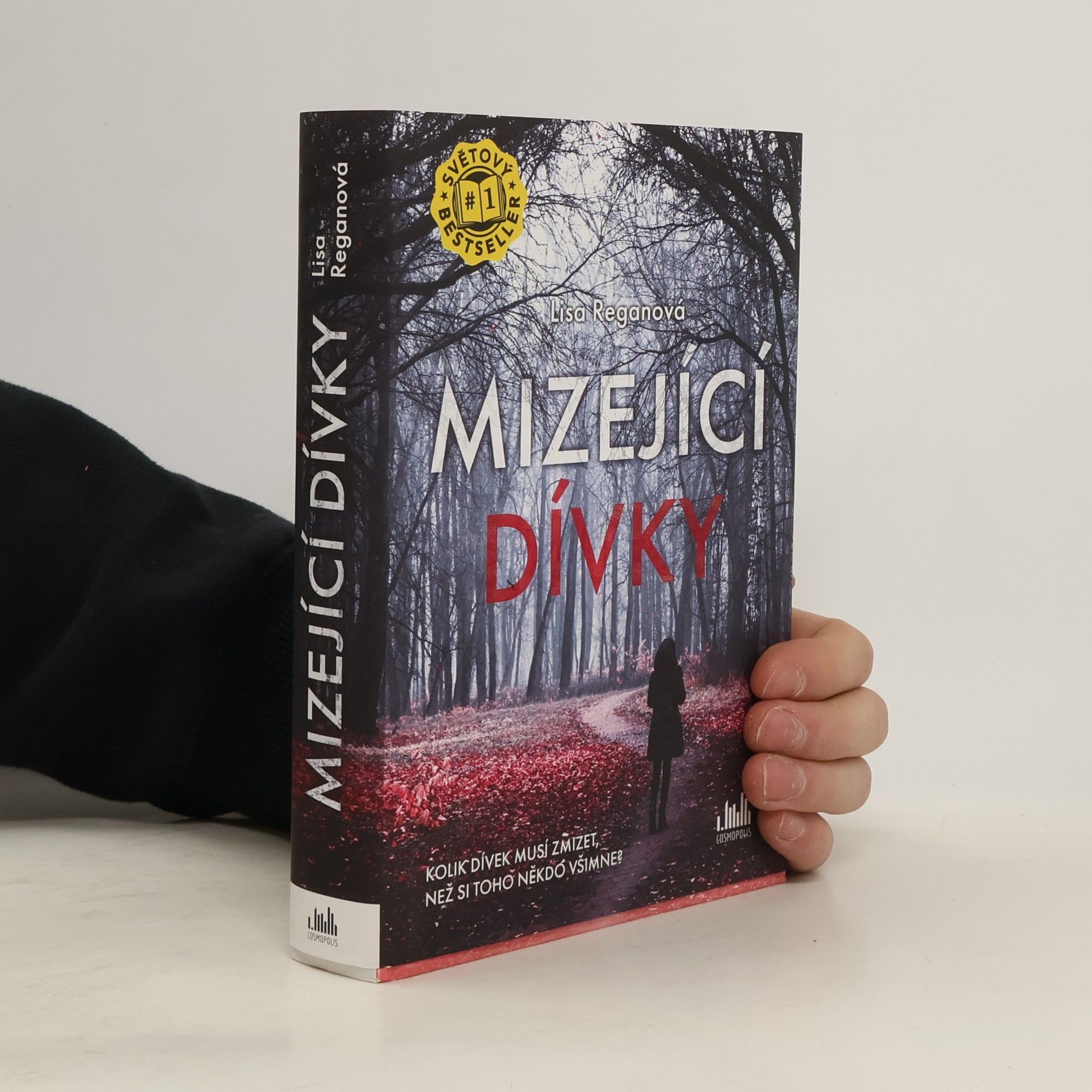 Lisa Regan Mizející dívky