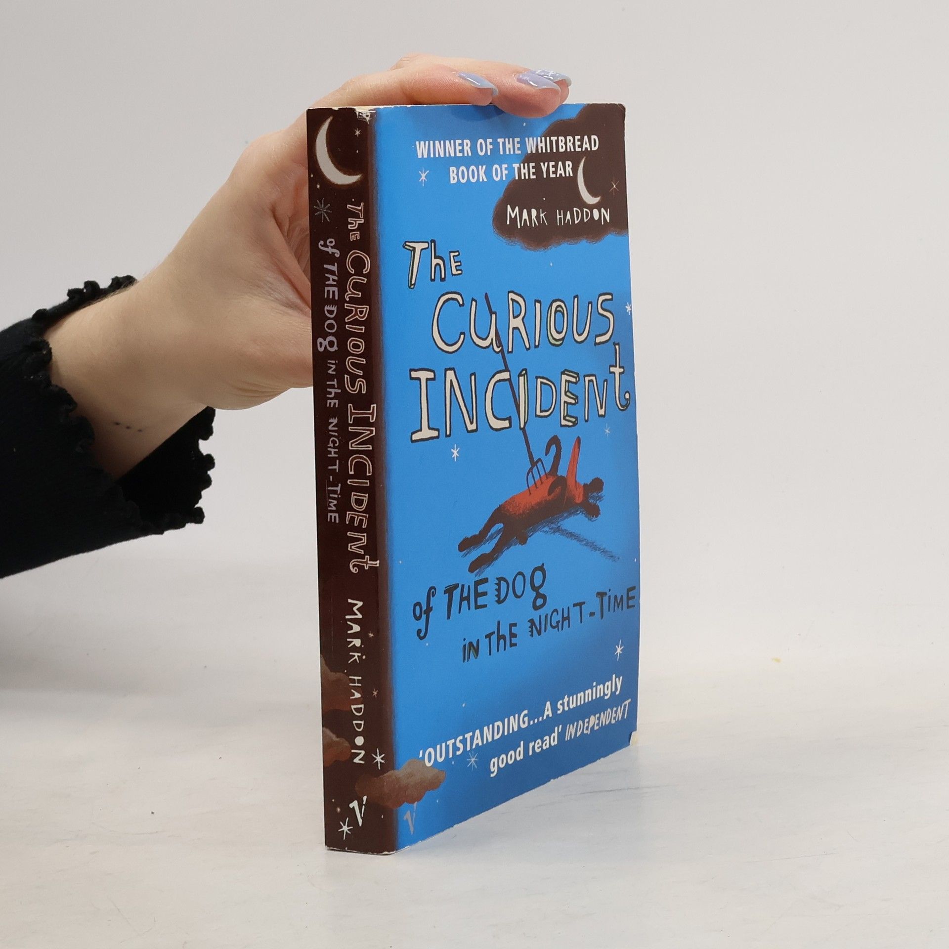 Mark Haddon The Curious Incident of The Dog in The Night-Time