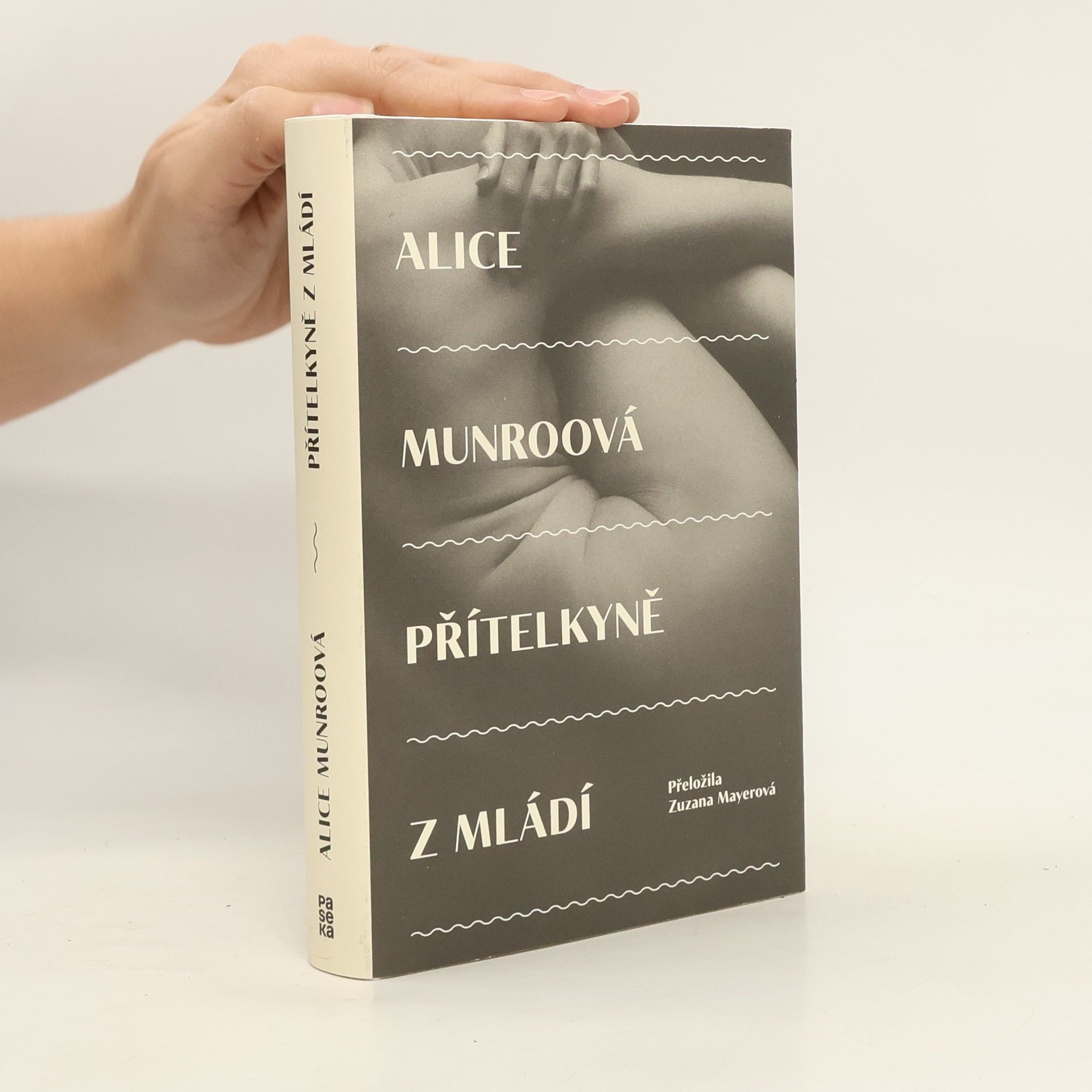 Alice Munro Přítelkyně z mládí