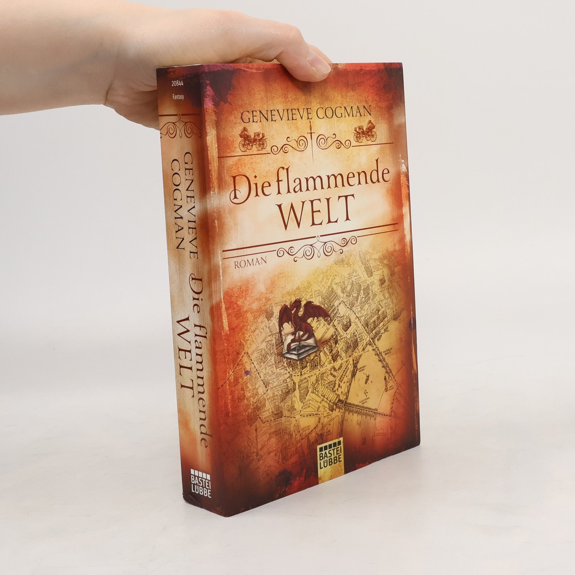 Genevieve Cogman Die flammende Welt
