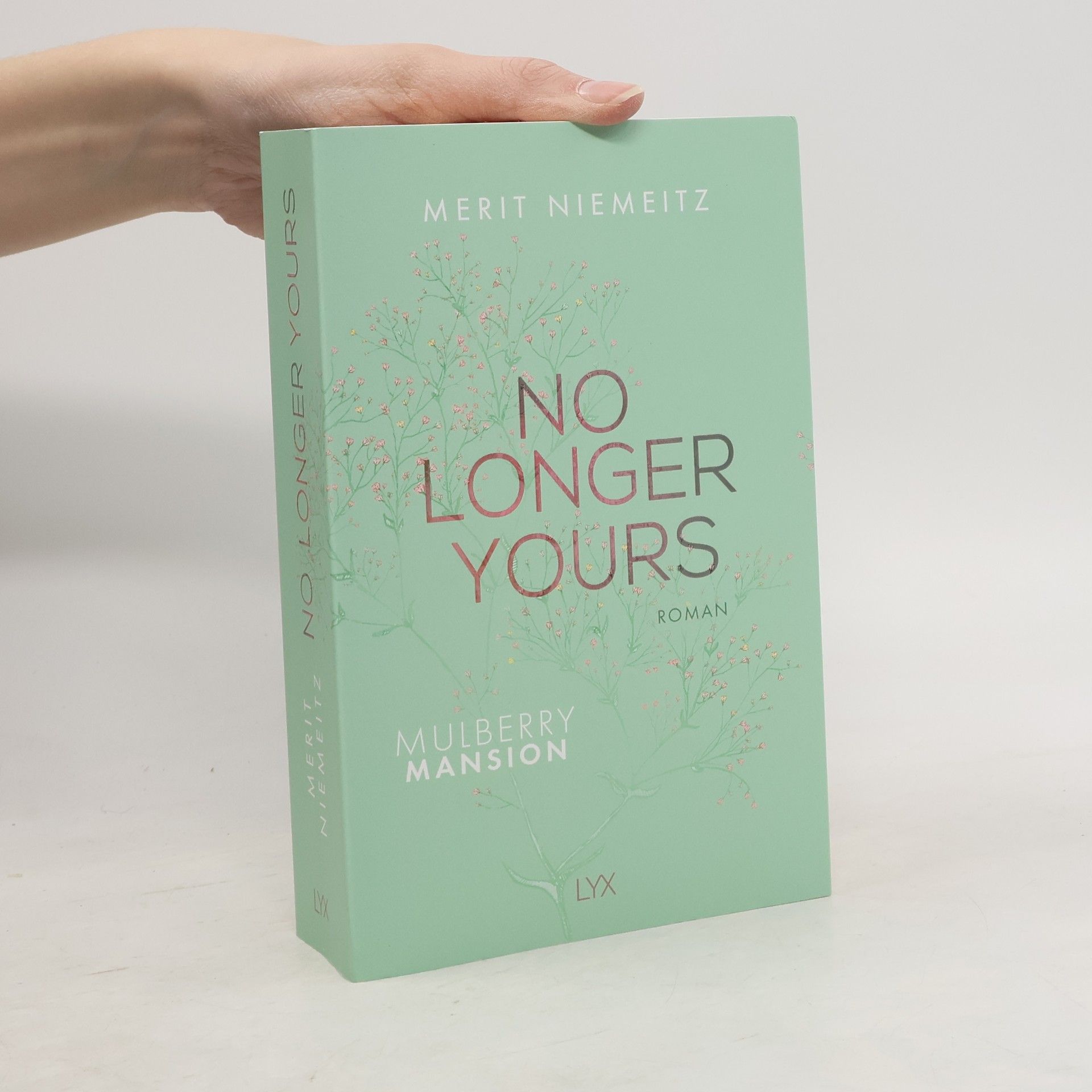 Merit Niemeitz No Longer Yours