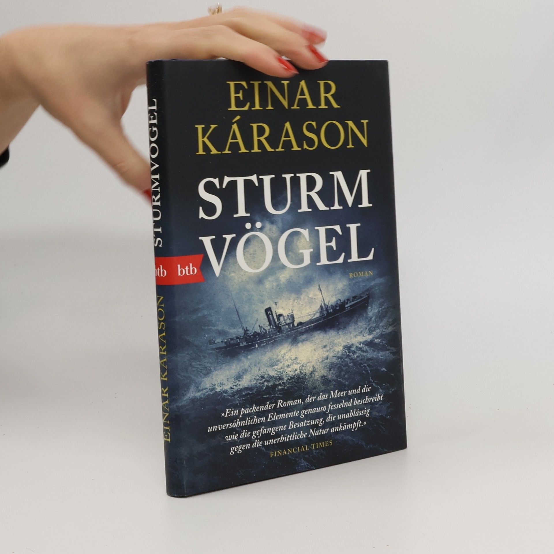 Einar Kárason Sturmvögel