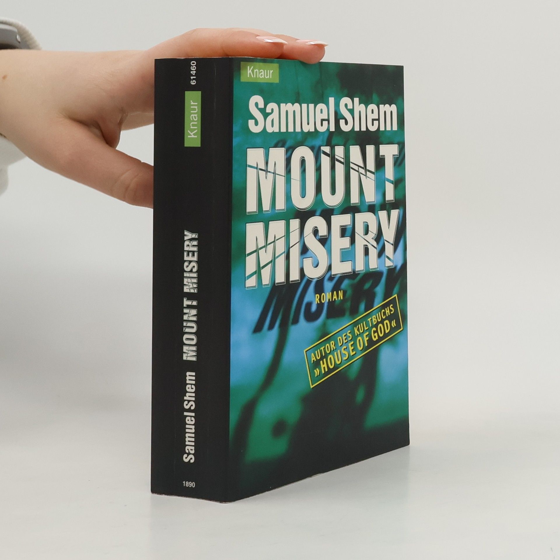 Samuel Shem Mount Misery