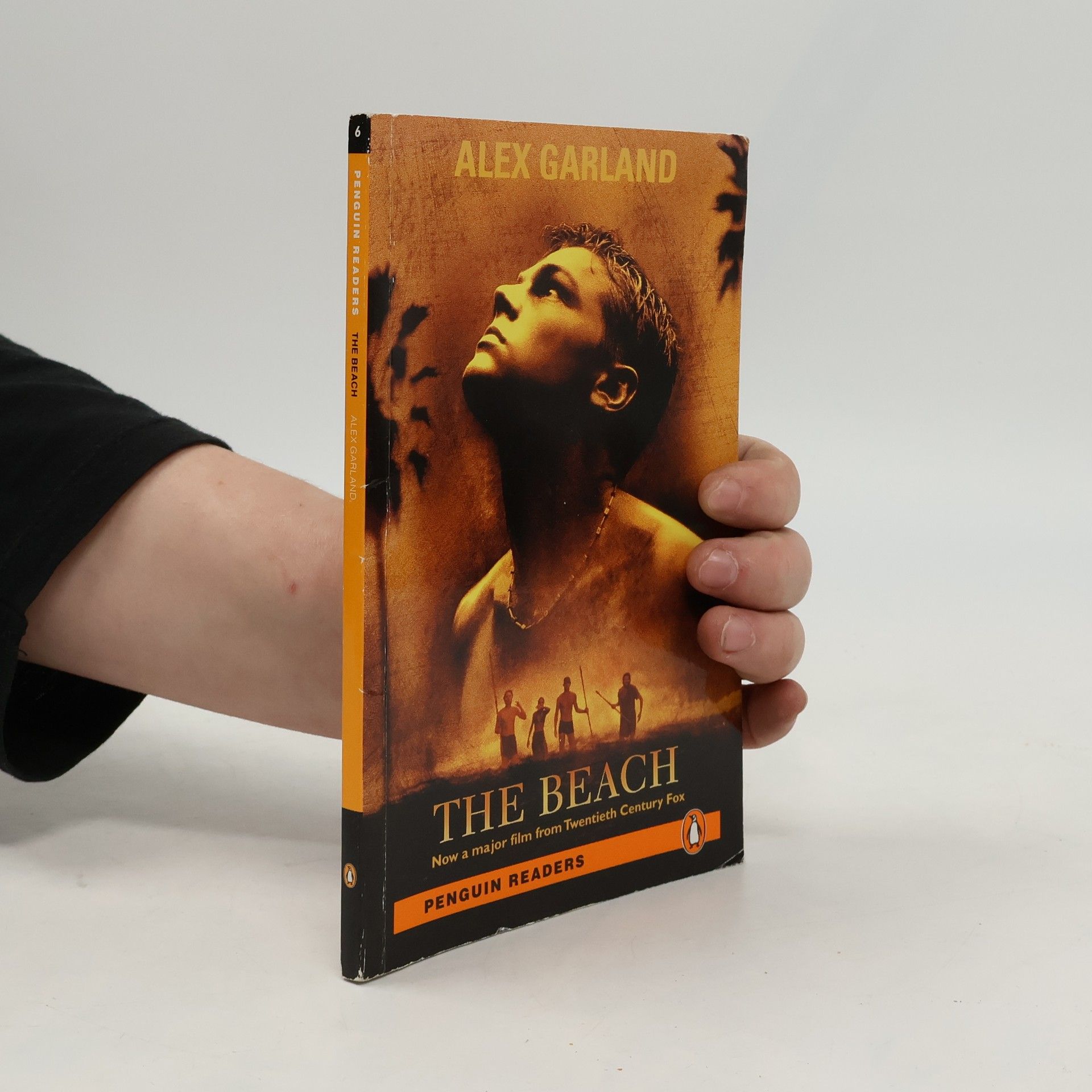 Various authors The beach