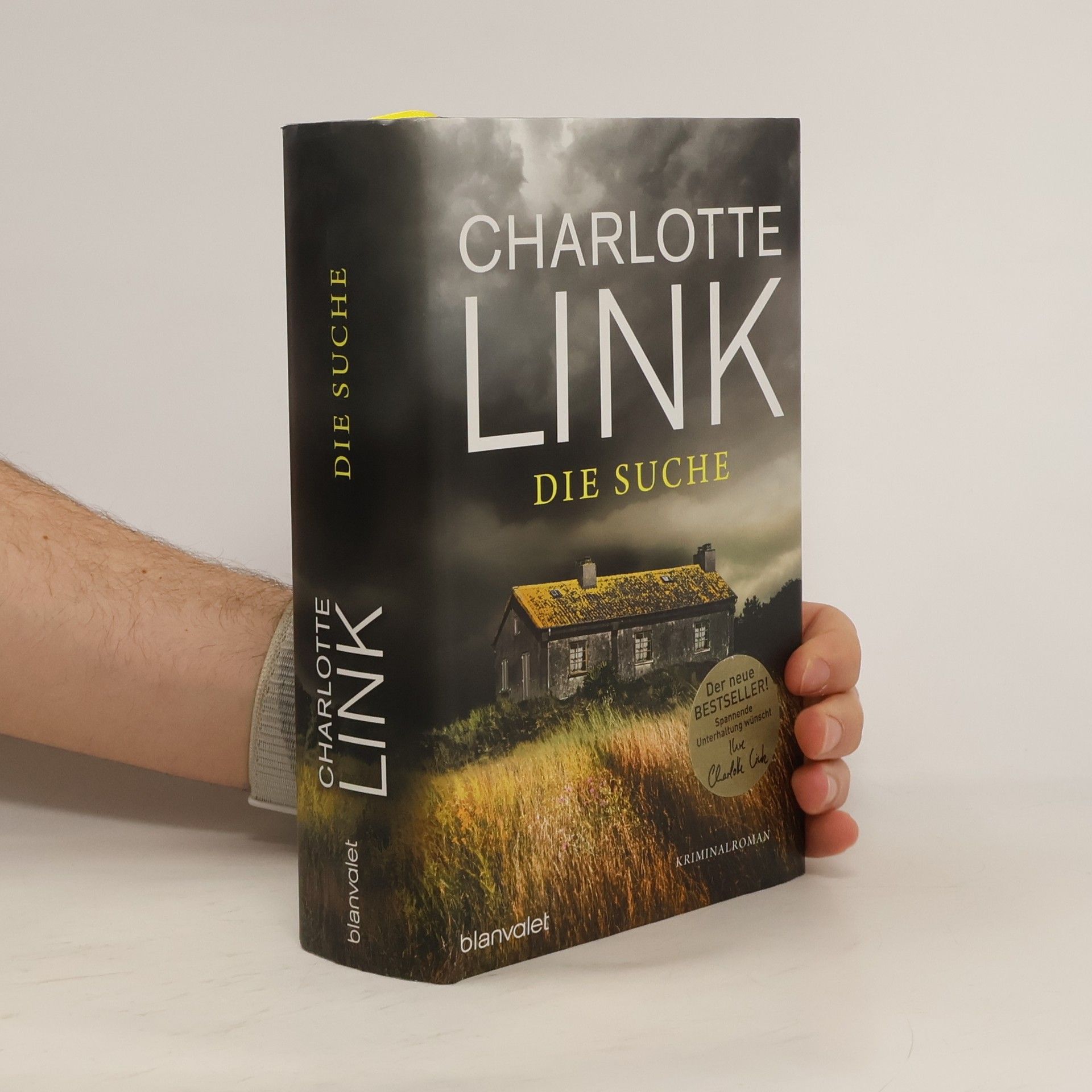 Charlotte Link Die Suche