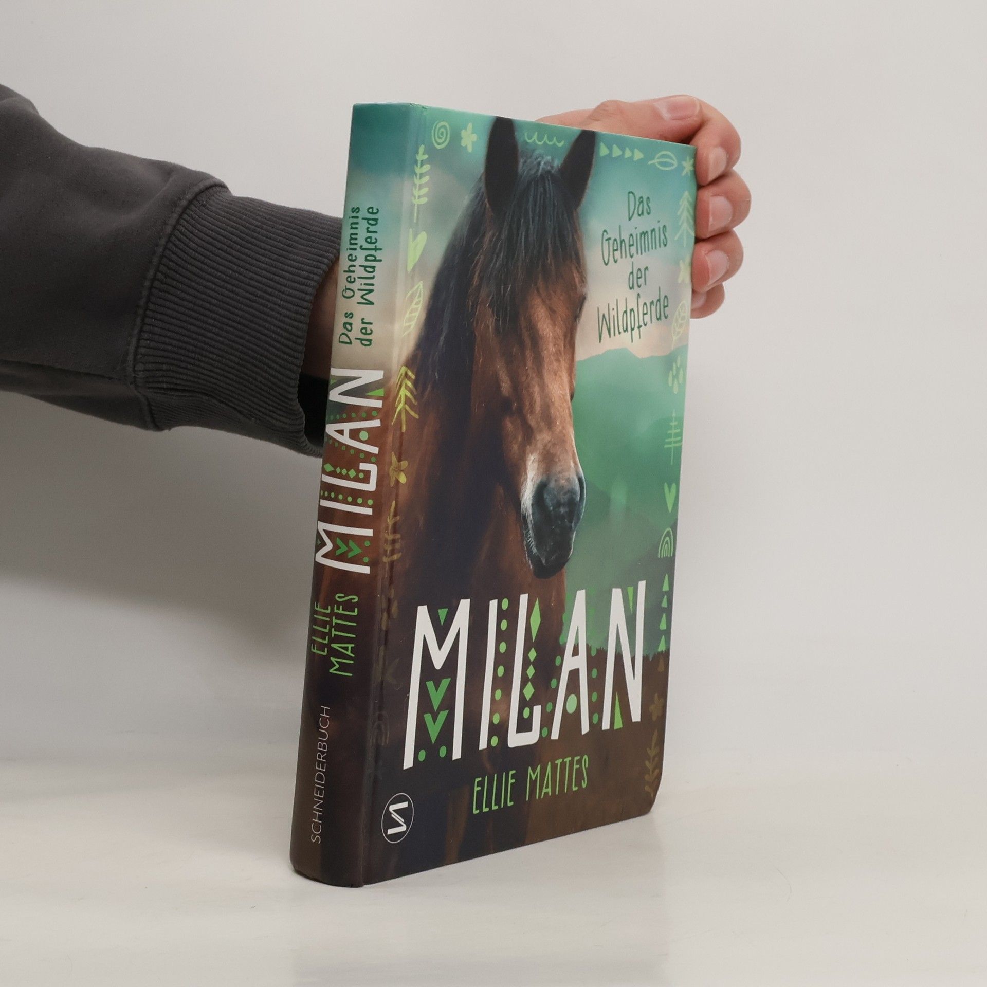 Ellie Mattes Milan. das Geheimnis der Wildpferde