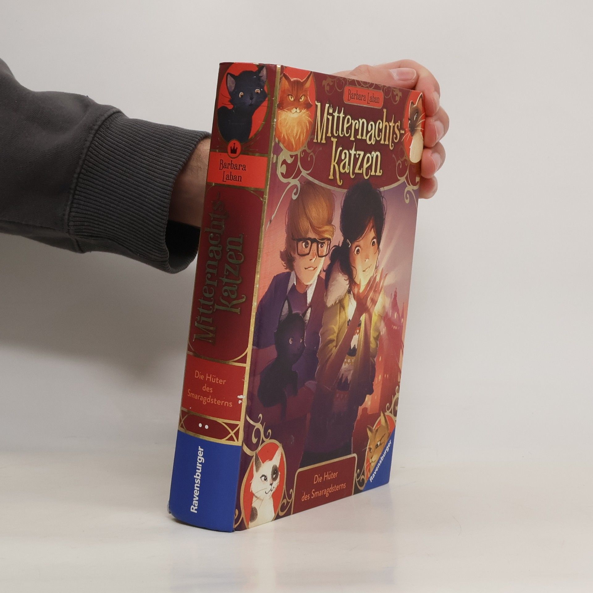 Barbara Laban Mitternachtskatzen, Band 2: Die Hüter des Smaragdsterns