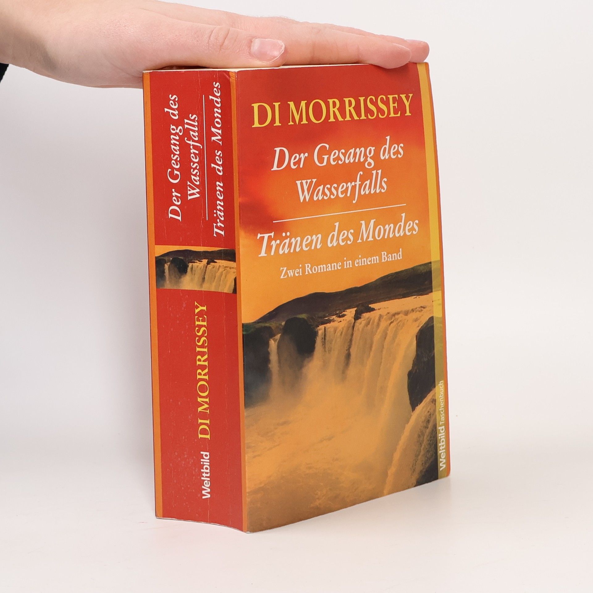 Di Morrissey Der Gesang des Wasserfalls