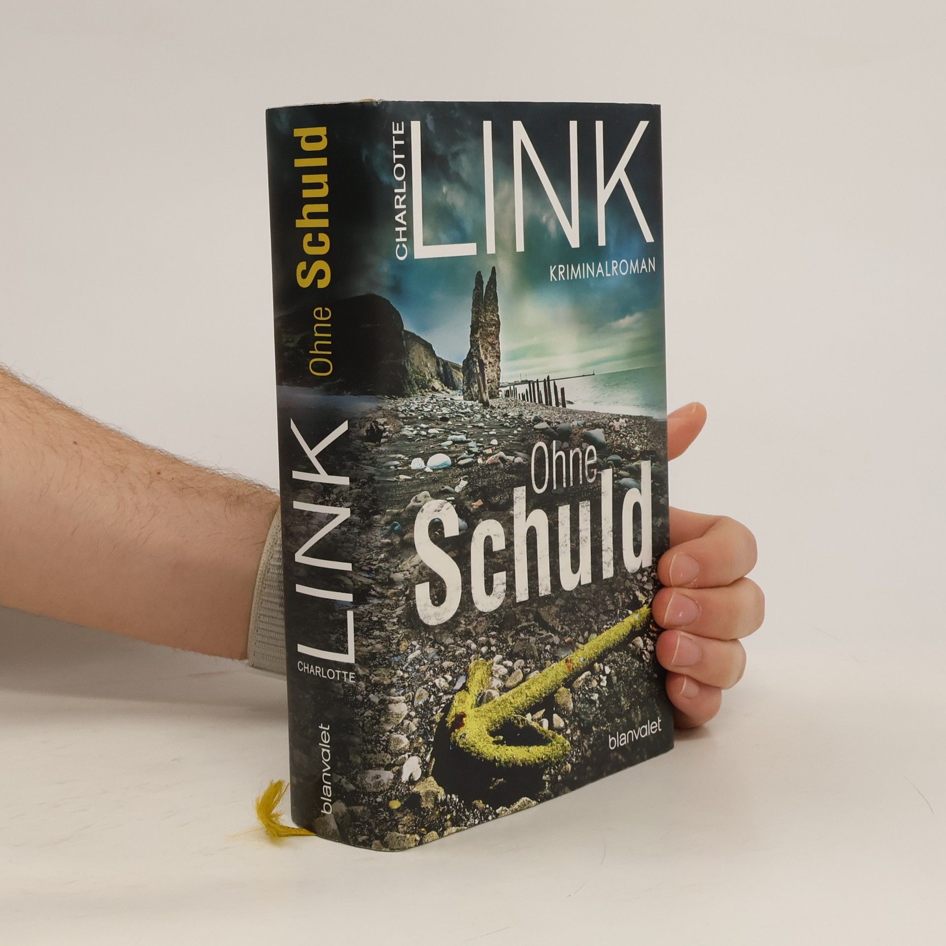 Charlotte Link Ohne Schuld