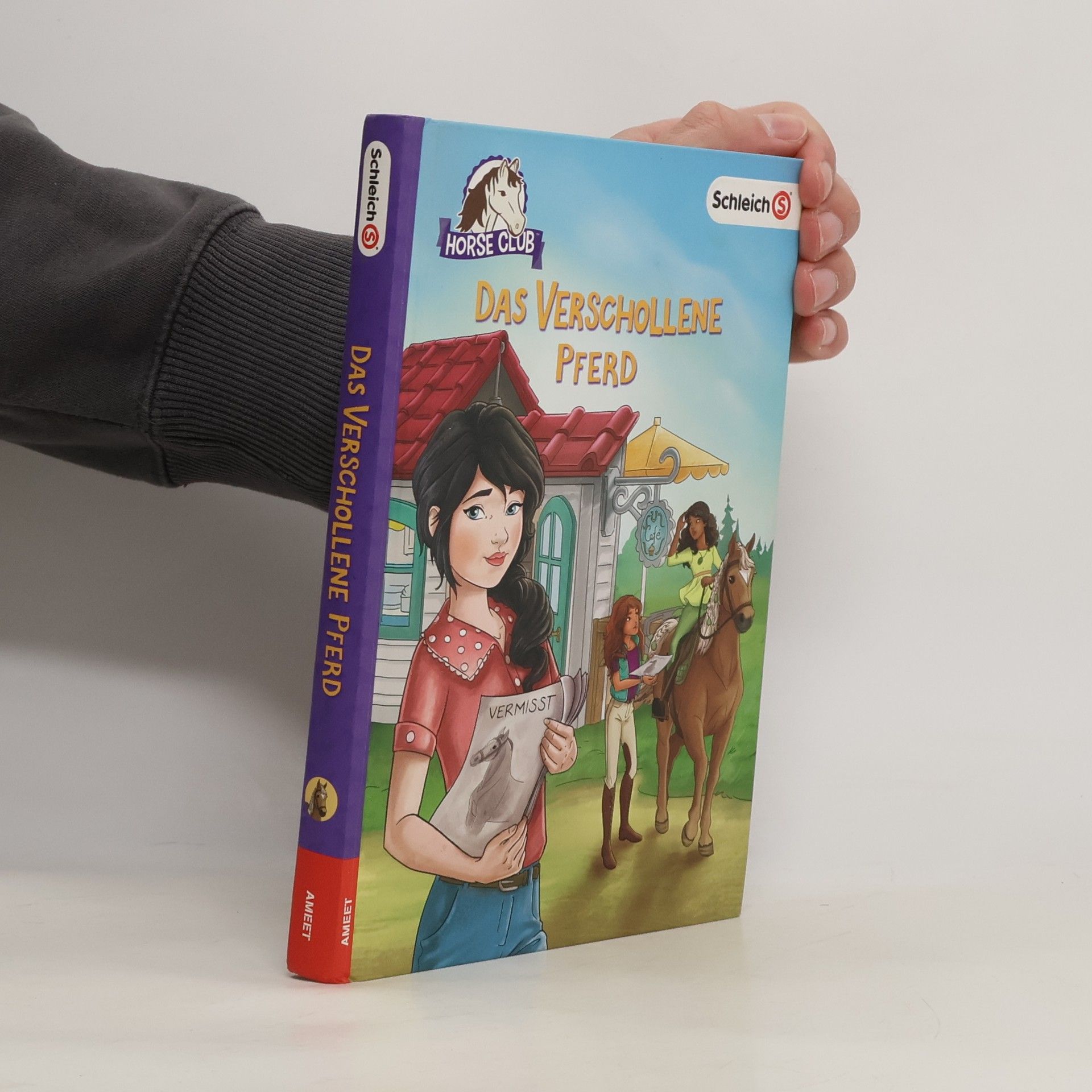 Emma Walden Horse Club - das verschollene Pferd