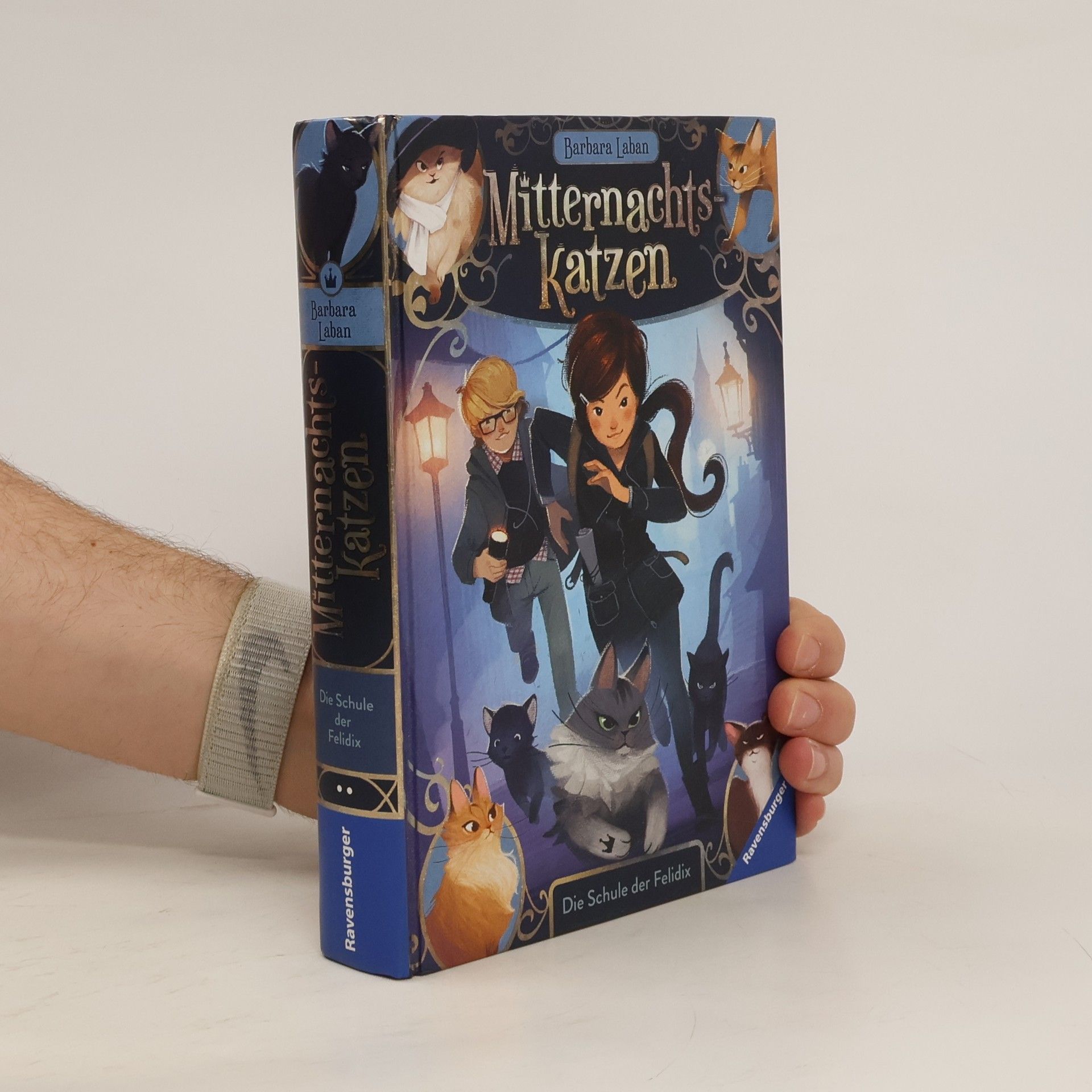 Barbara Laban Die Schule der Felidix