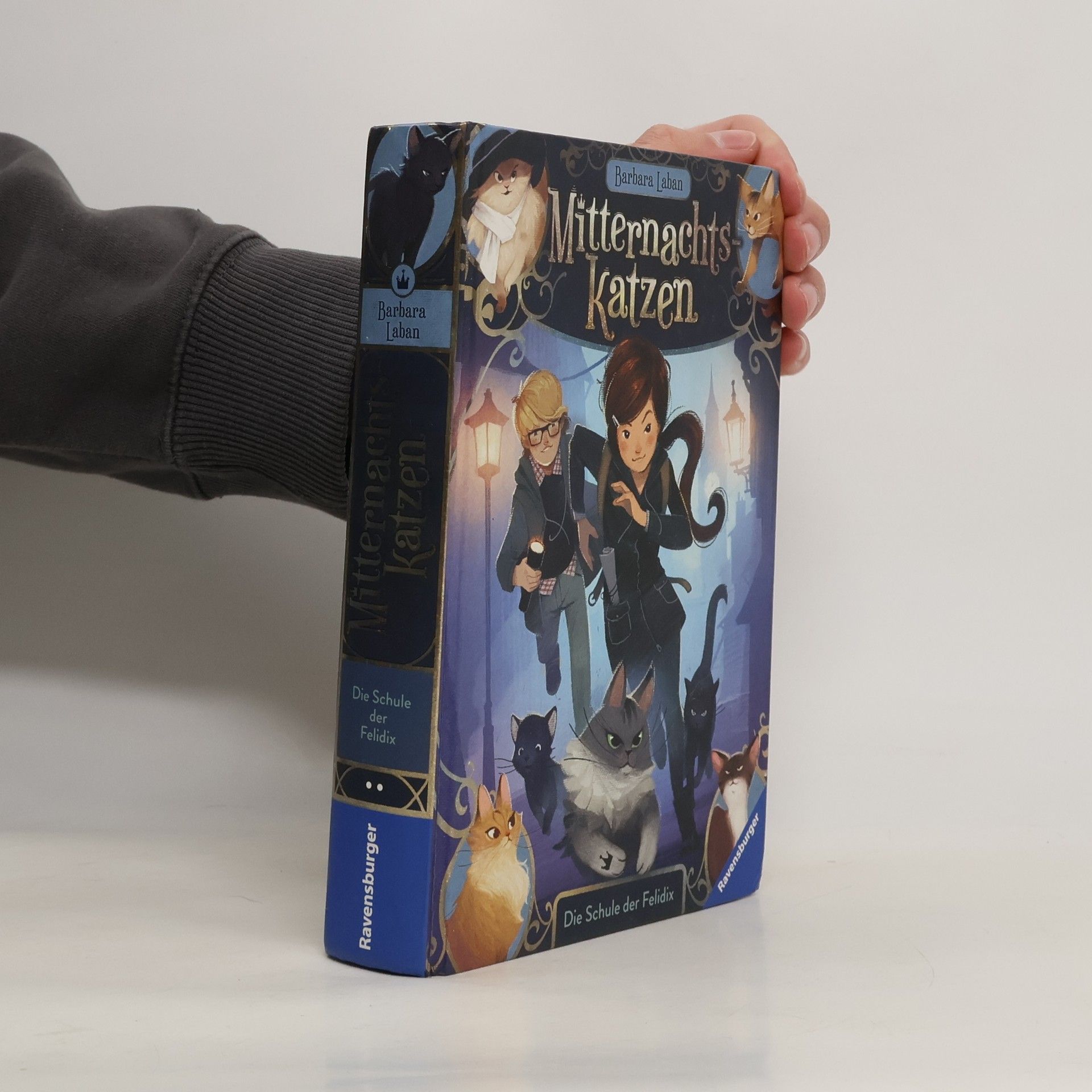 Barbara Laban Die Schule der Felidix