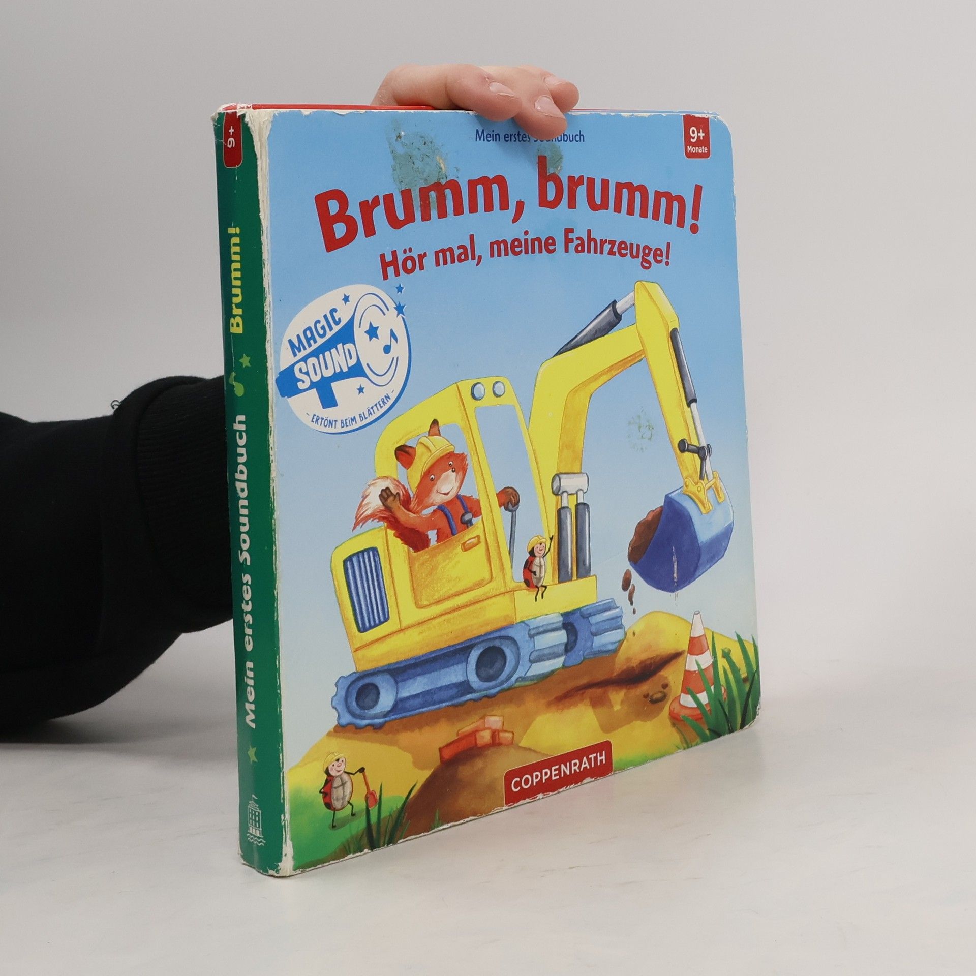 Maria Bogade Mein erstes Soundbuch