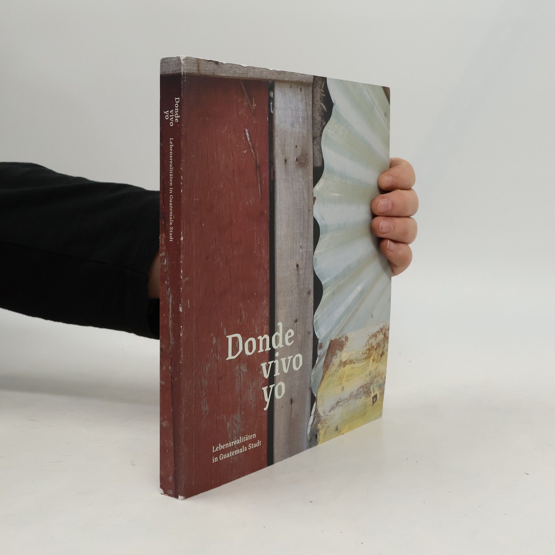 Evi Kostner Donde vivo yo. Lebensrealitäten in Guatemala Stadt