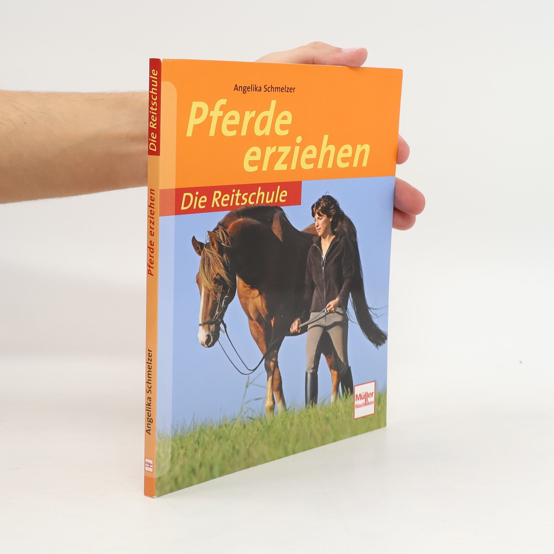 Pferde erziehen