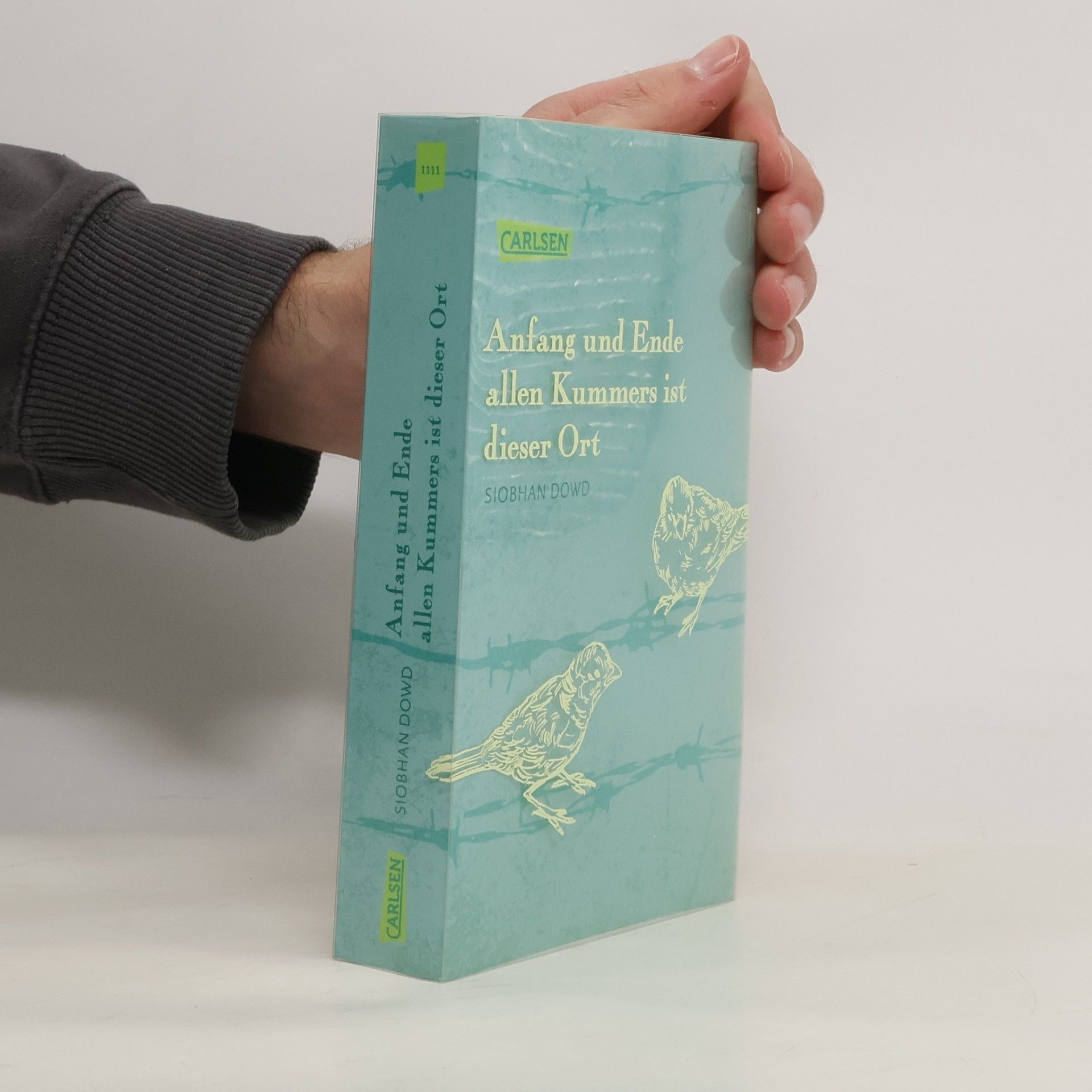 Siobhan Dowd Anfang und Ende allen Kummers ist dieser Ort