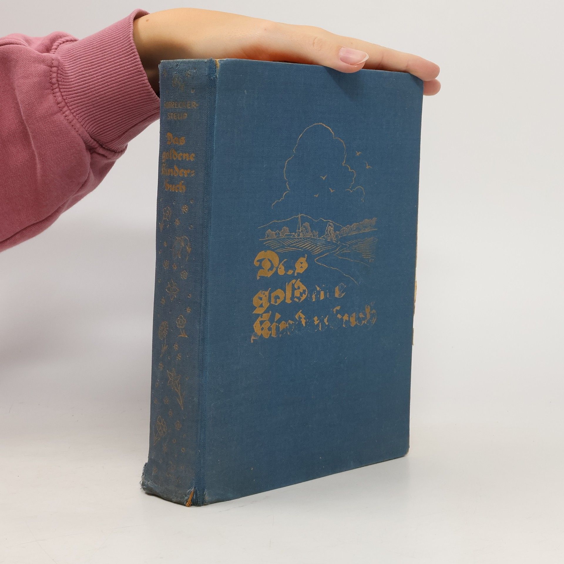 kolektiv Das Goldene Kinderbuch