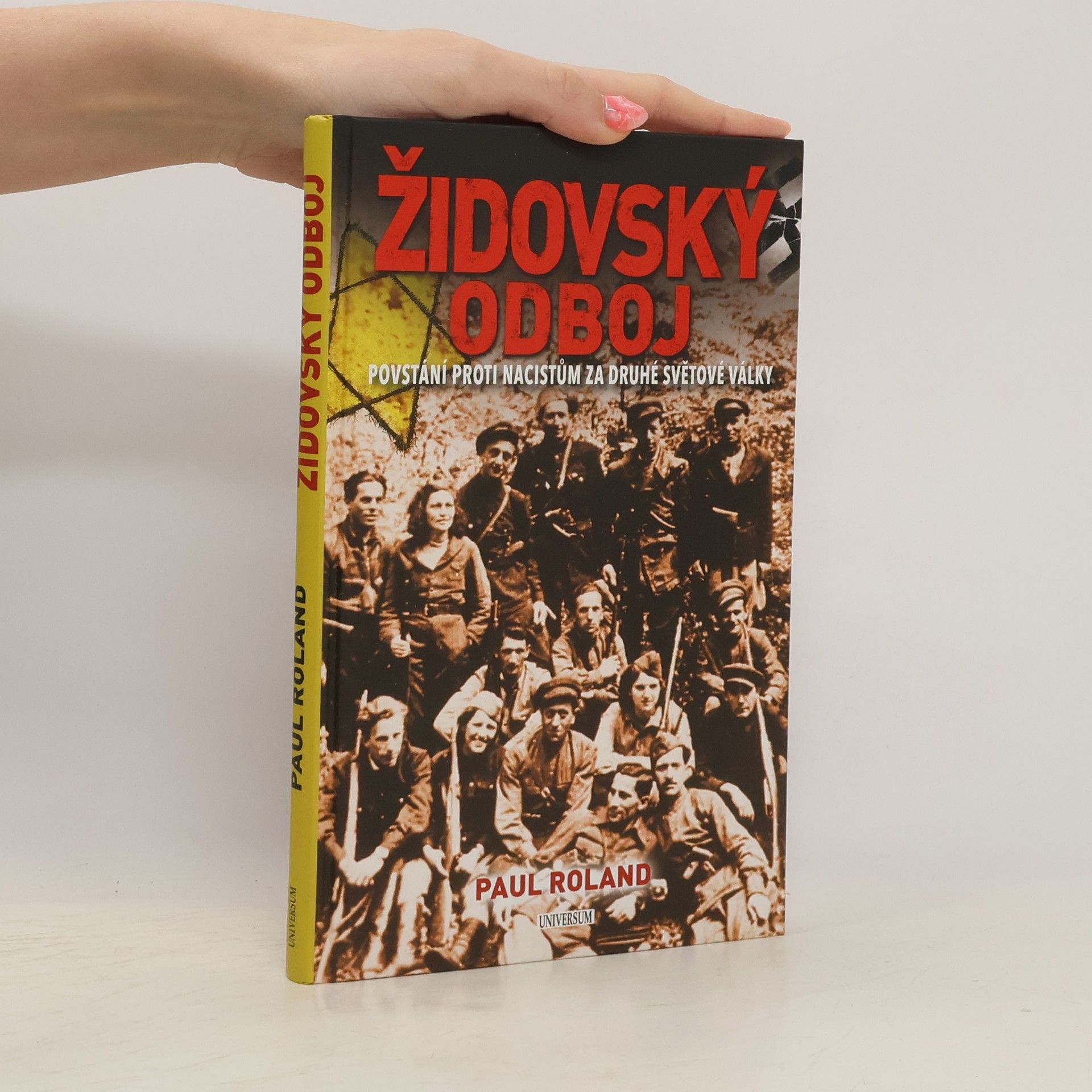 Paul Roland Židovský odboj: Povstání proti nacistům za druhé světové války
