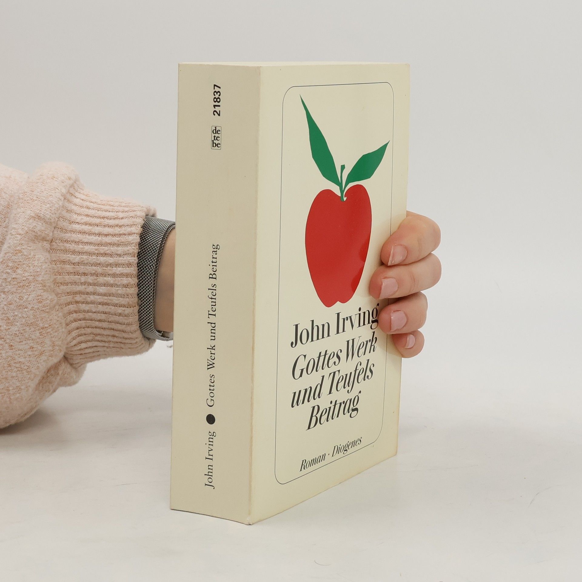 John Irving Gottes Werk und Teufels Beitrag