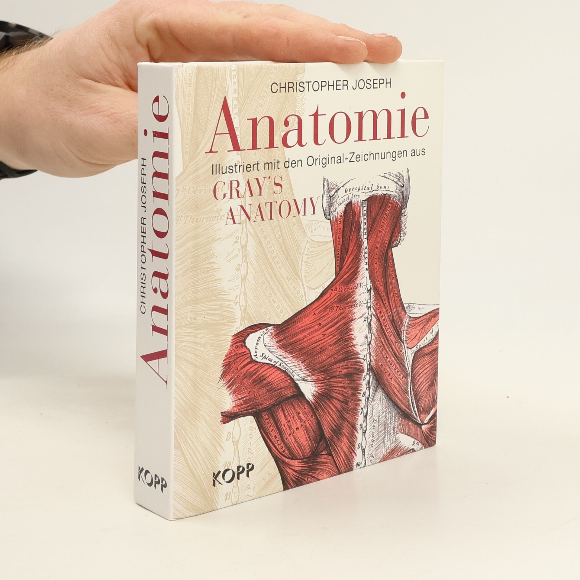 Christopher Joseph Anatomie. Ilustriert mit den Original-Zeichnungen aus Gray's Anatomy