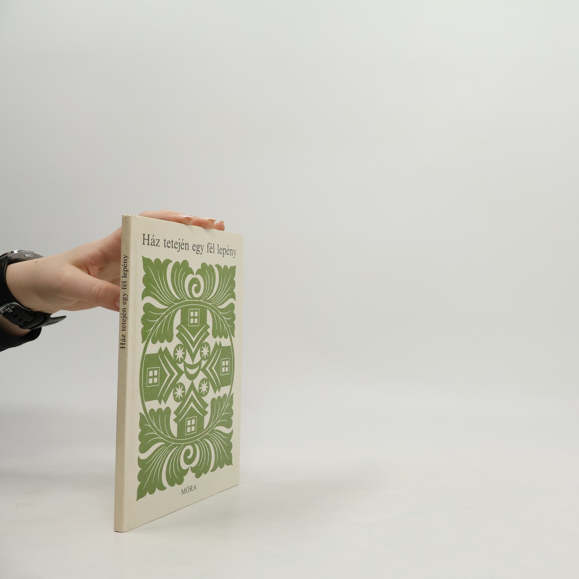 AA.VV. Ház tetején egy fél lepény