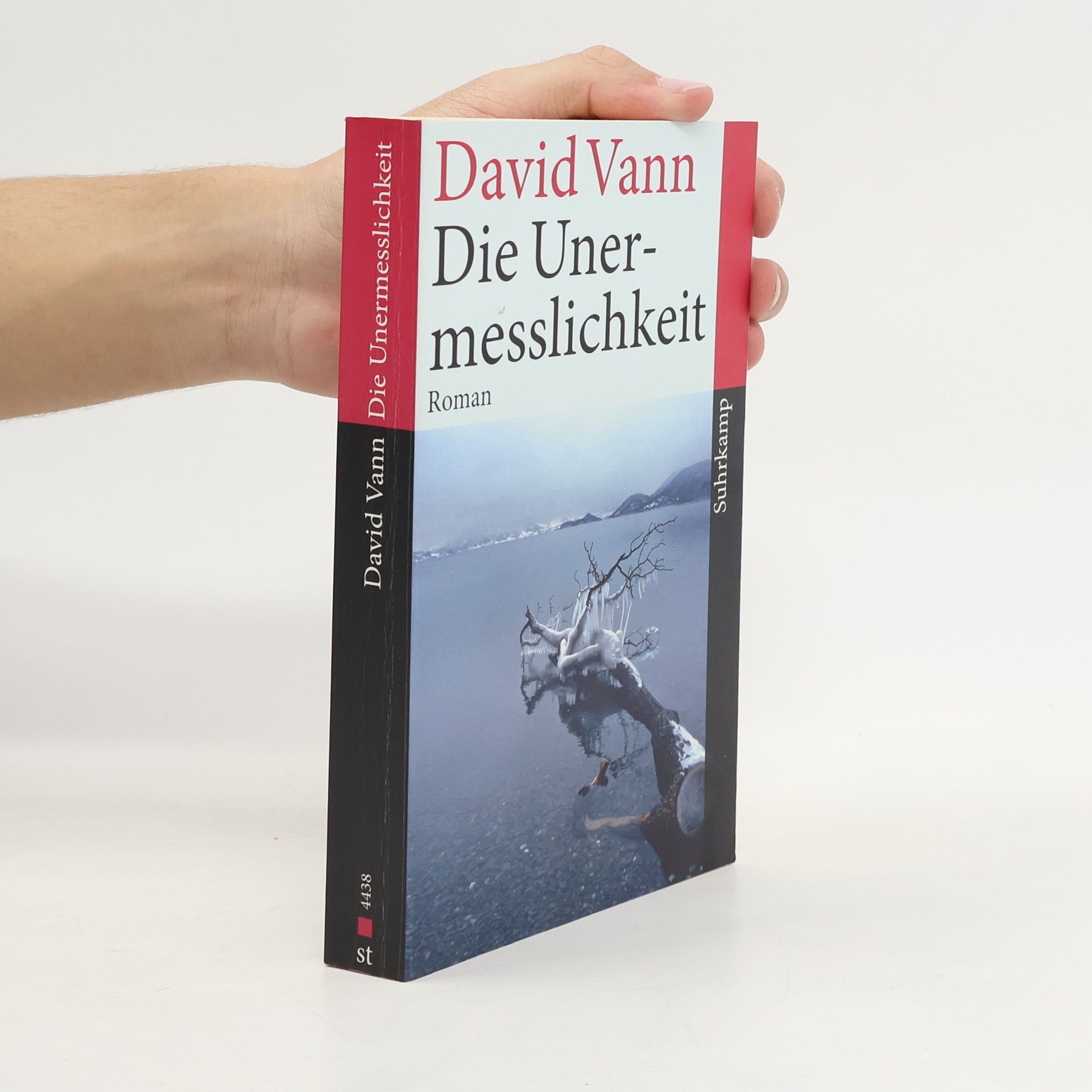David Vann Suhrkamp Taschenbuch - 4438: Die Unermesslichkeit