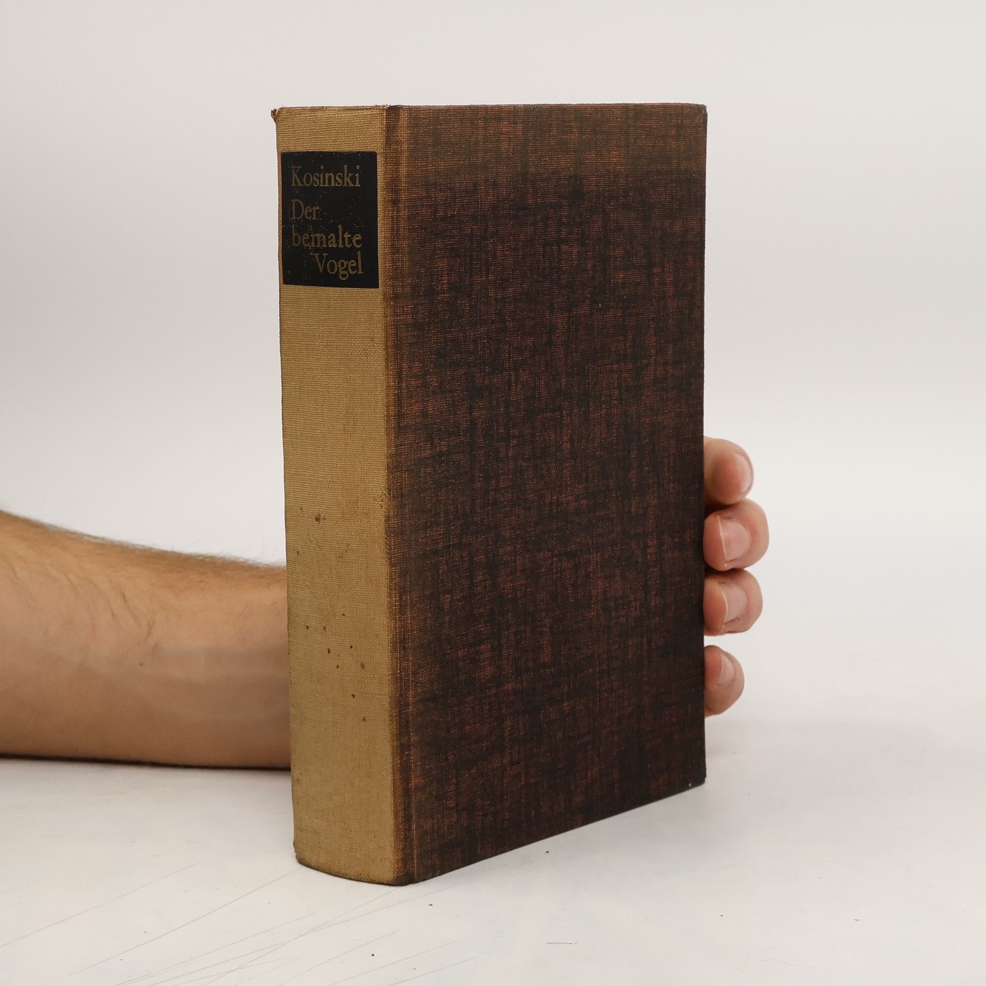 Jerzy Kosinski Der bemalte Vogel