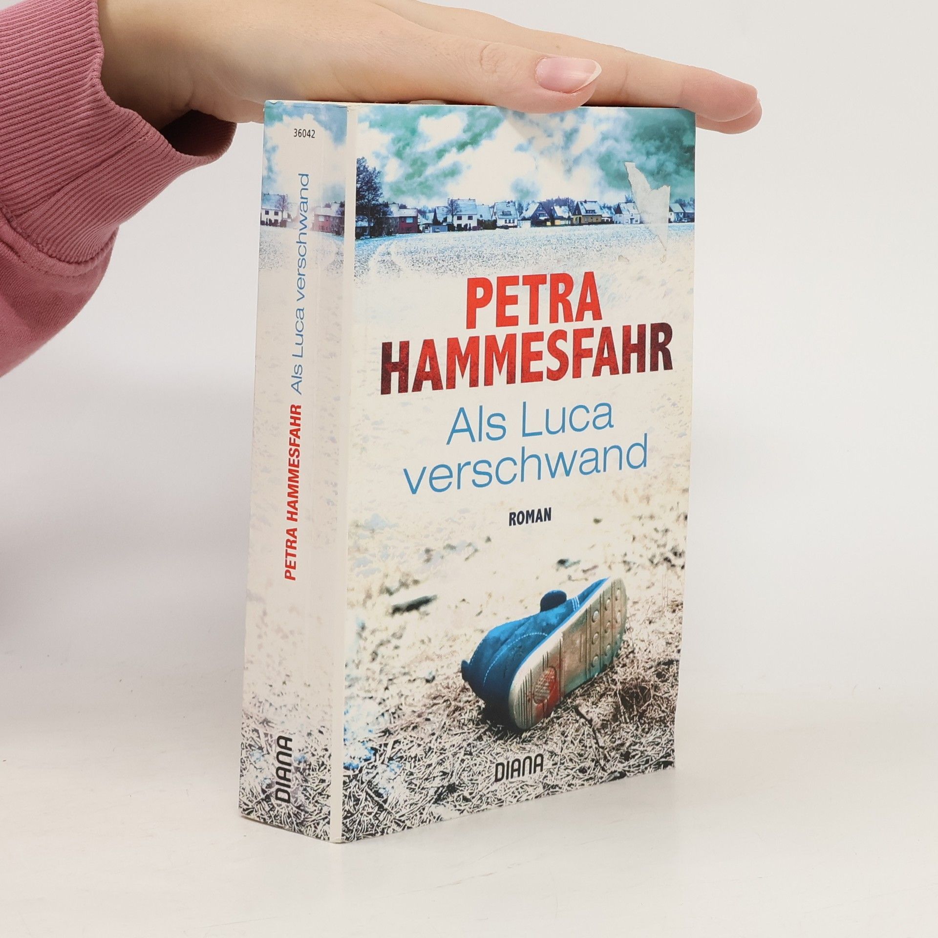 Petra Hammesfahr Als Luca verschwand