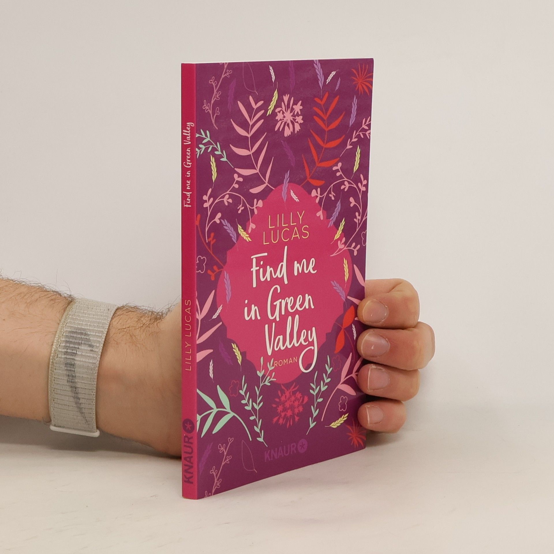 Lilly Lucas Find me in Green Valley