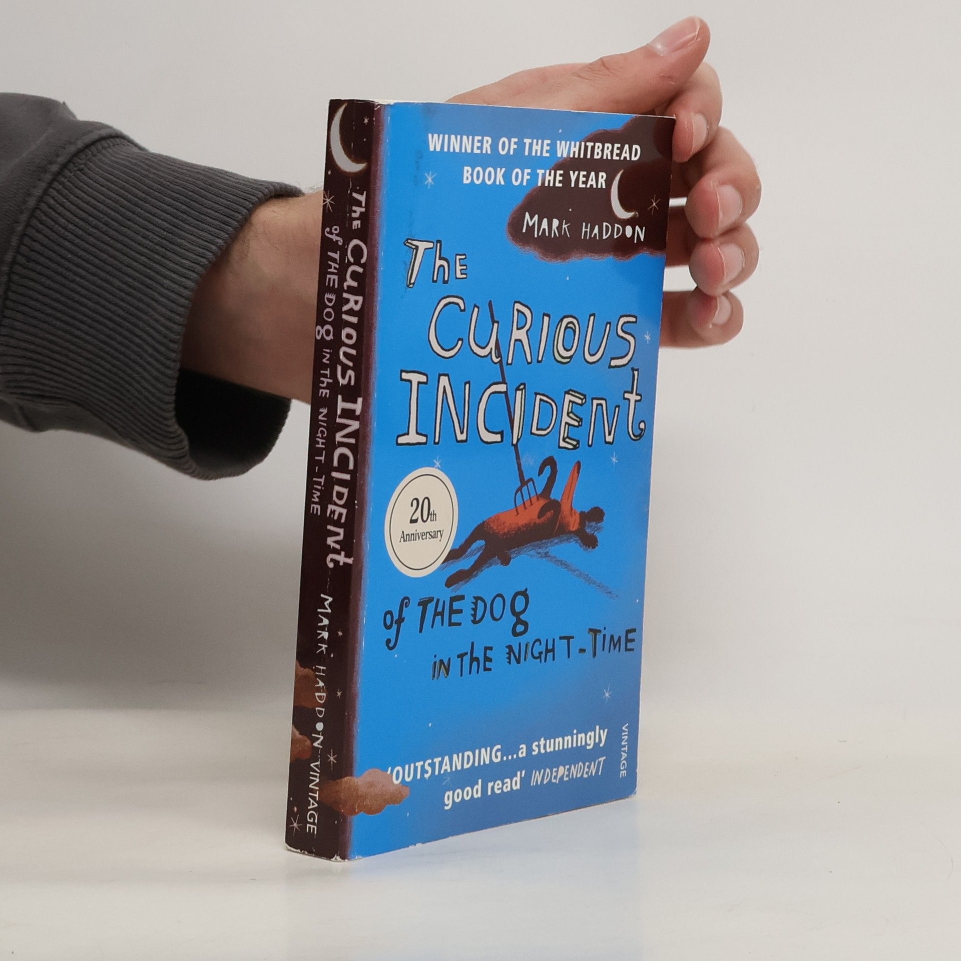 Mark Haddon The Curious Incident of The Dog in The Night-Time