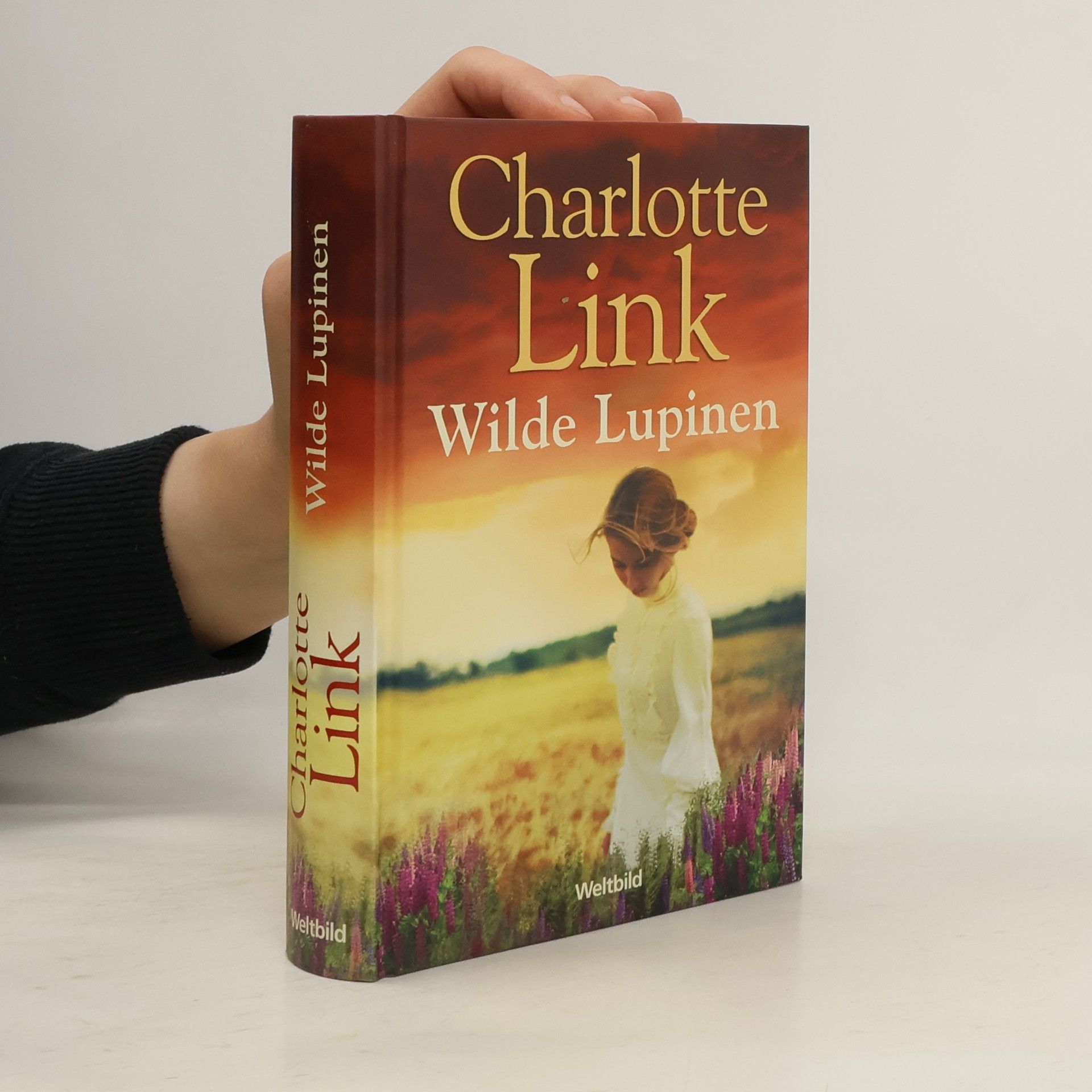 Charlotte Link Sturmzeit