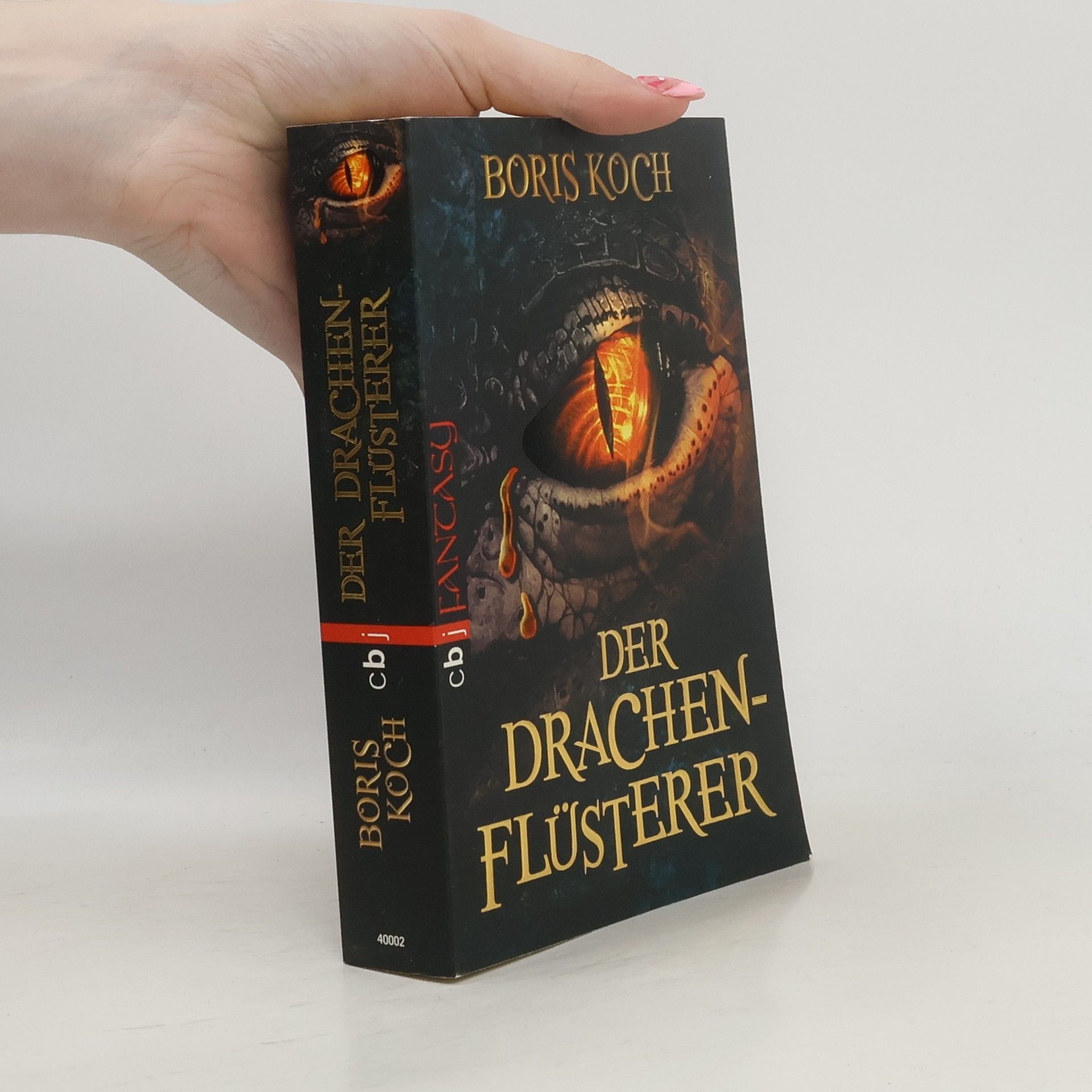 Boris Koch Der Drachenflüsterer