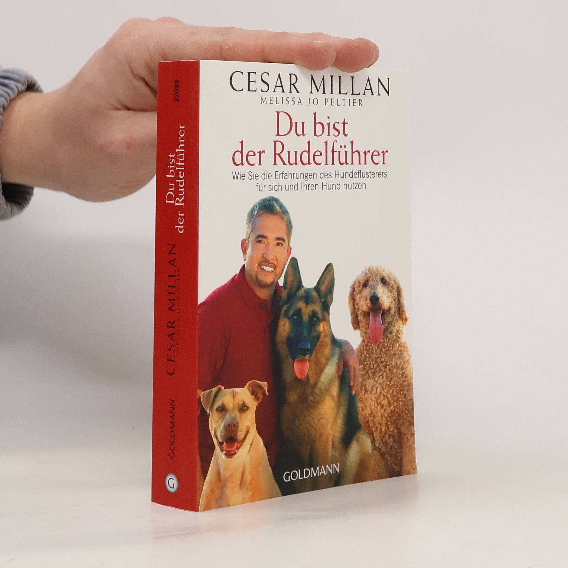 Cesar Millan Du bist der Rudelführer