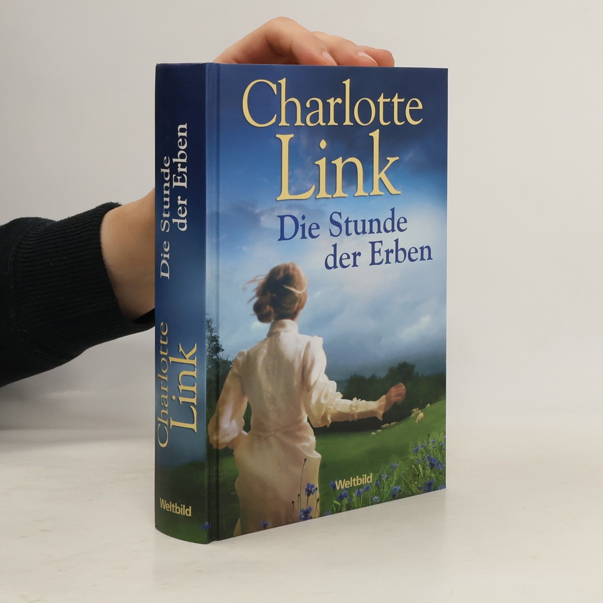 Charlotte Link Sturmzeit