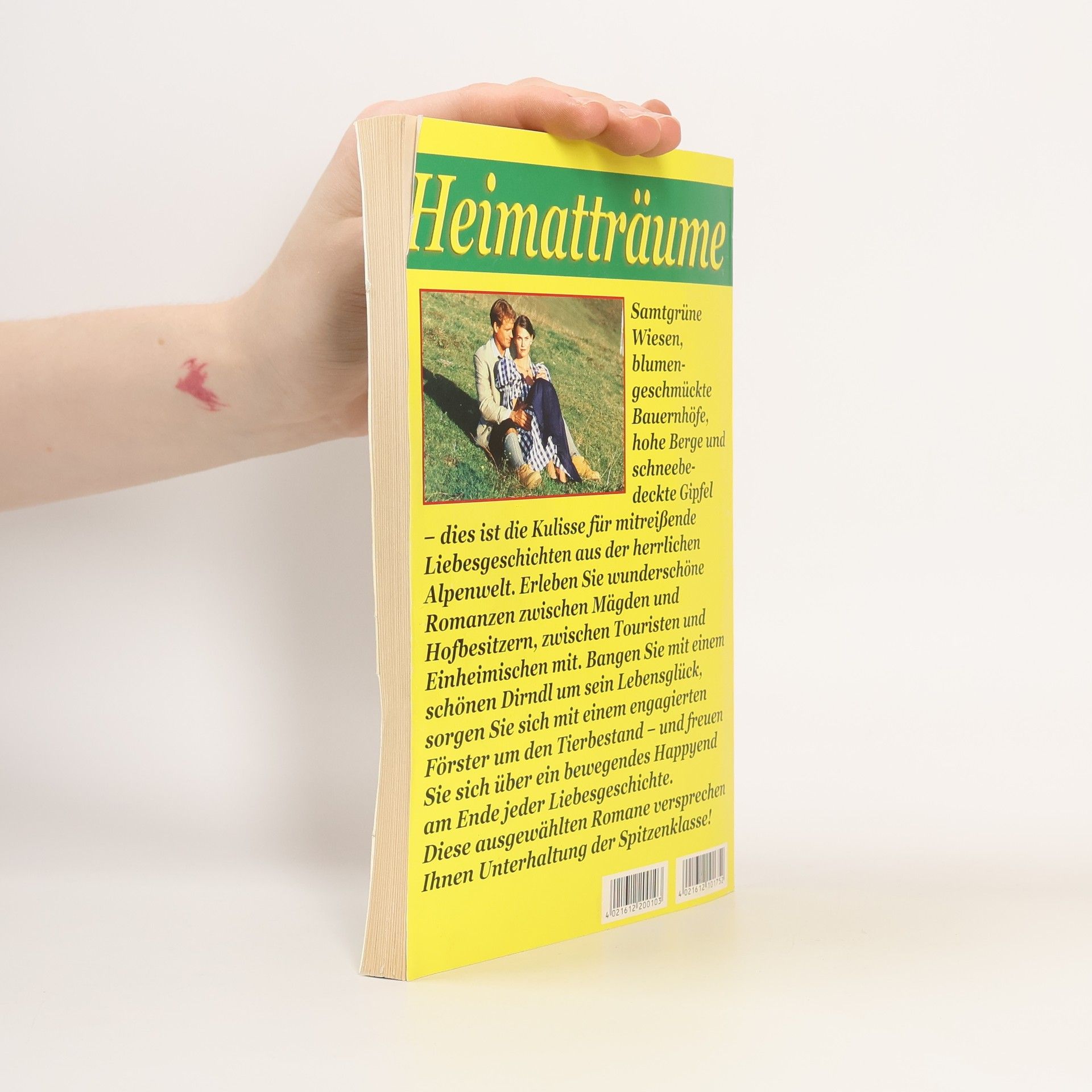 Autorenkollektiv Heimatträume Band 310