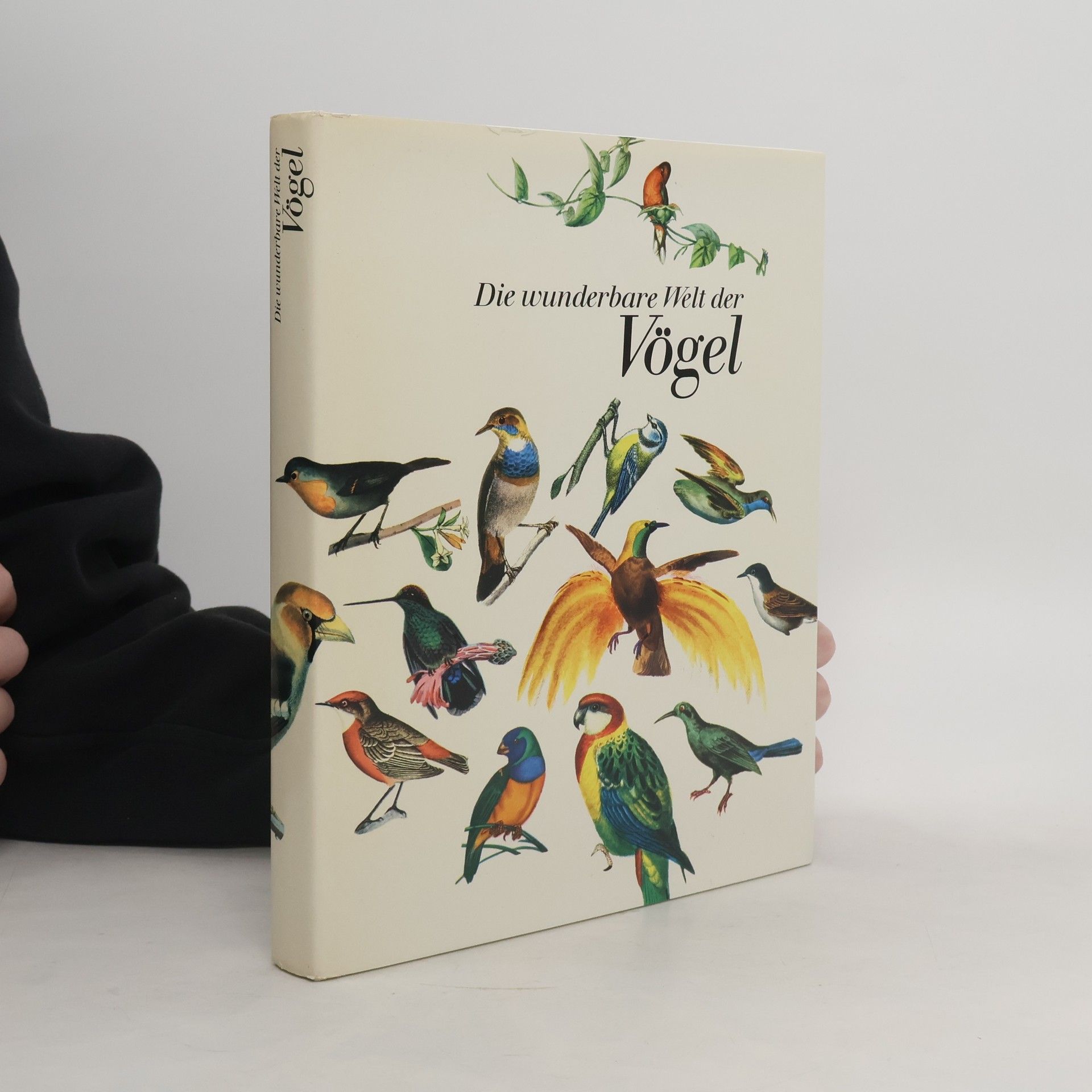 Various authors Die wunderbare Welt der Vögel