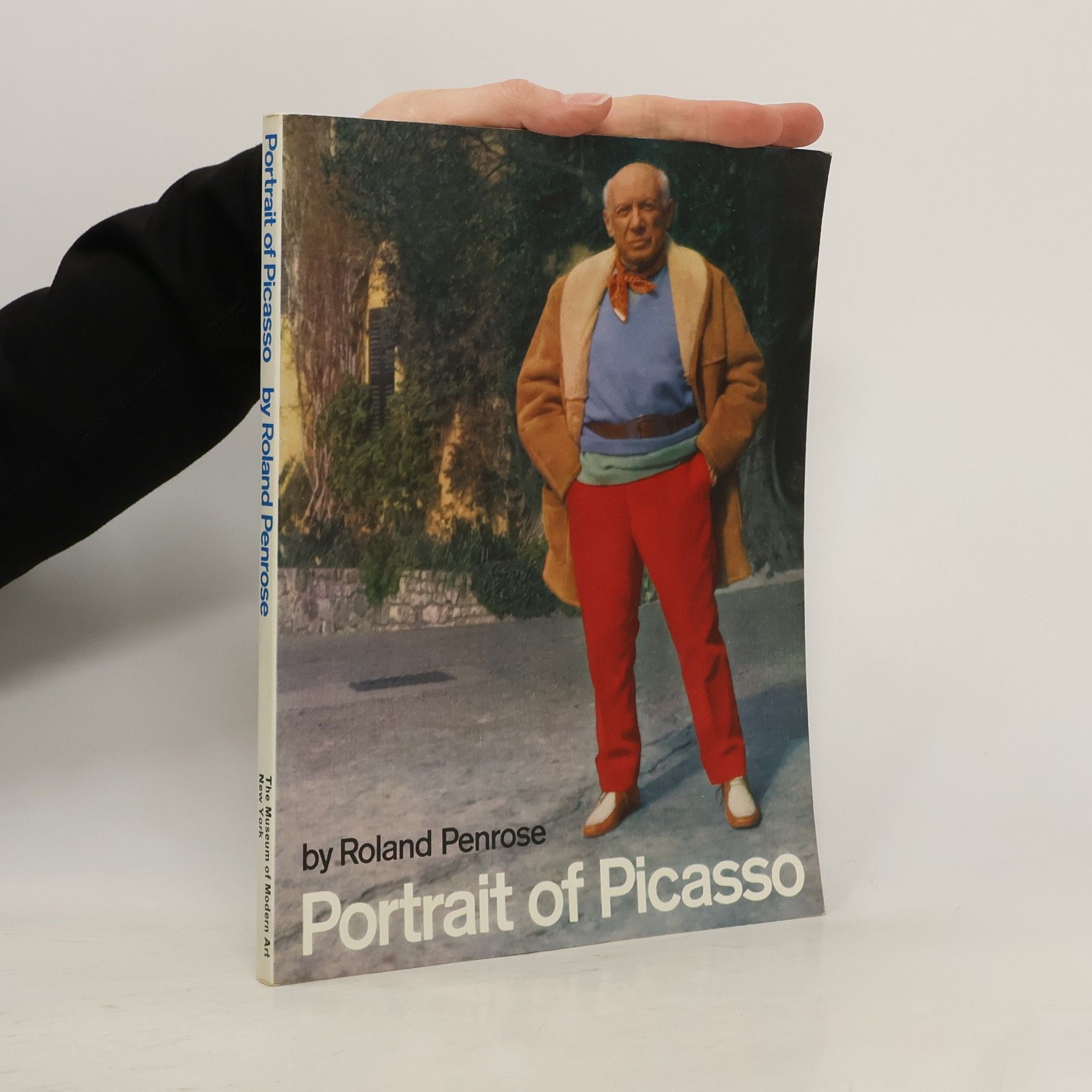 Portrait of Picasso