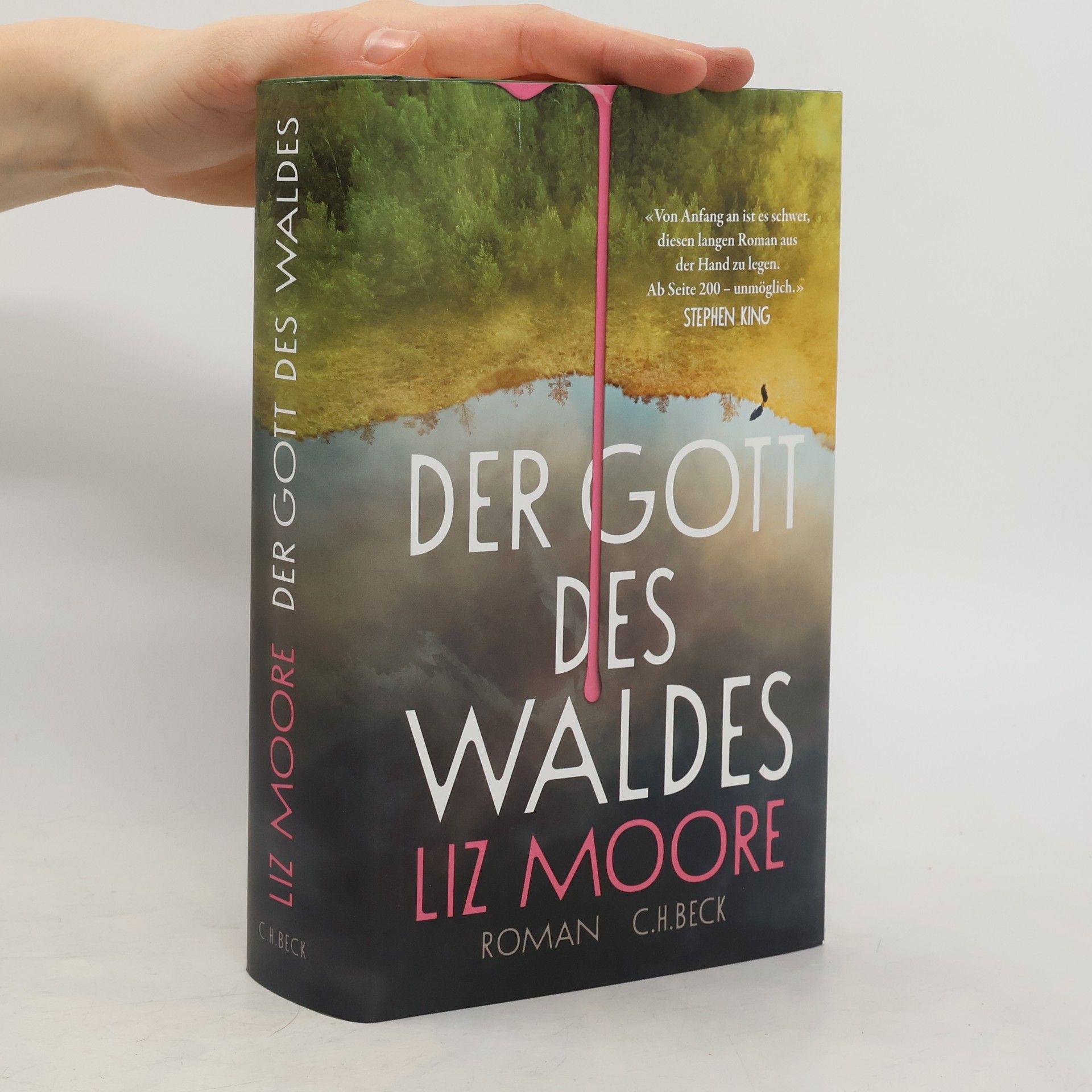 Liz Moore Der Gott des Waldes