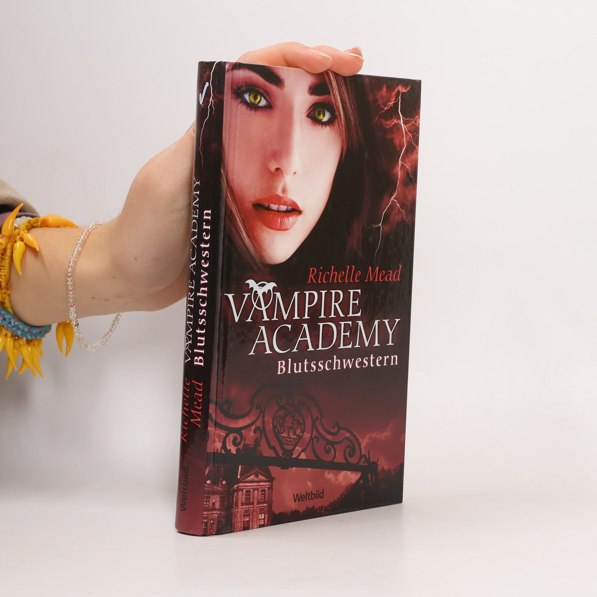 Richelle Mead Vampire Academy. Blutsschwestern