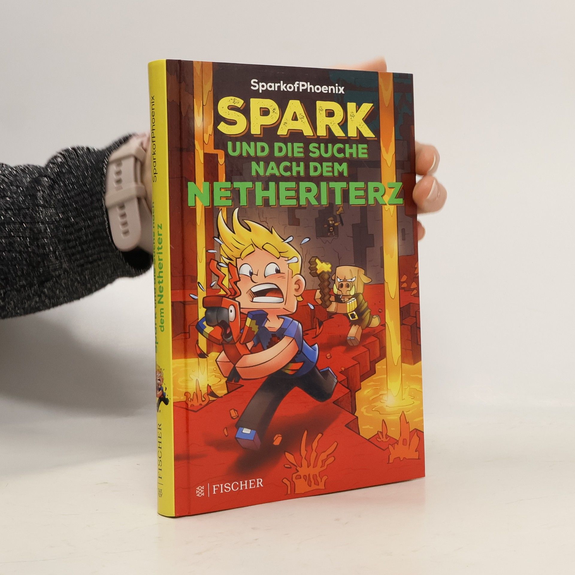 Spark und die Suche nach dem Netheriterz