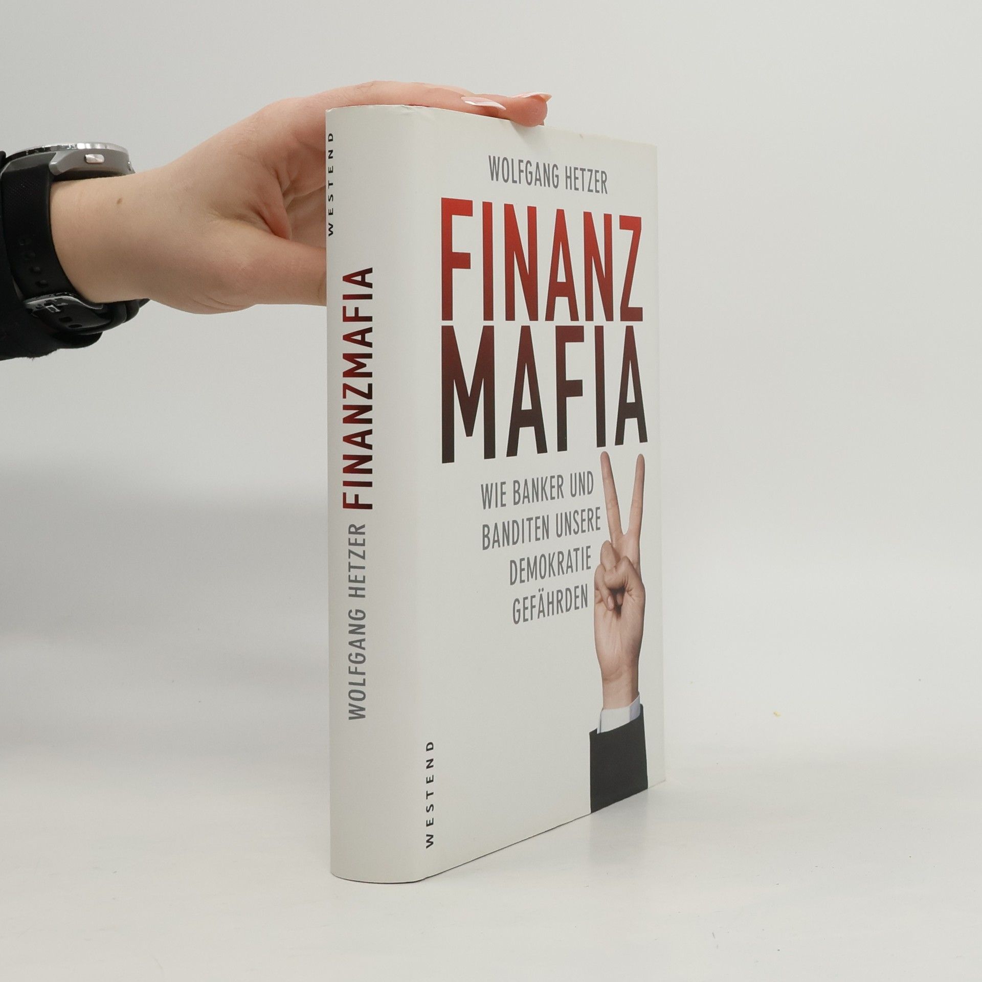 Wolfgang Hetzer Finanzmafia