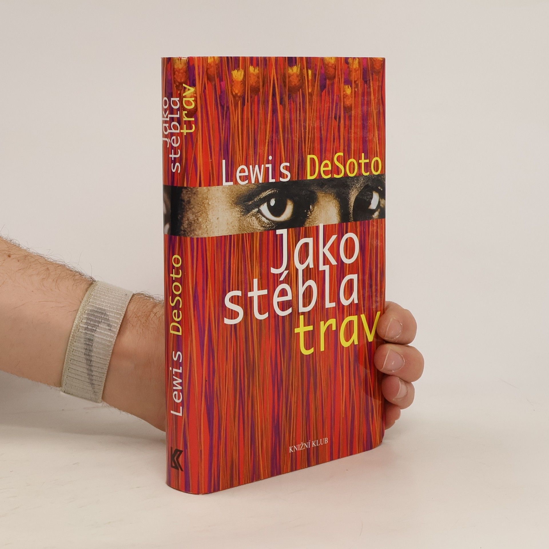 Lewis DeSoto Jako stébla trav