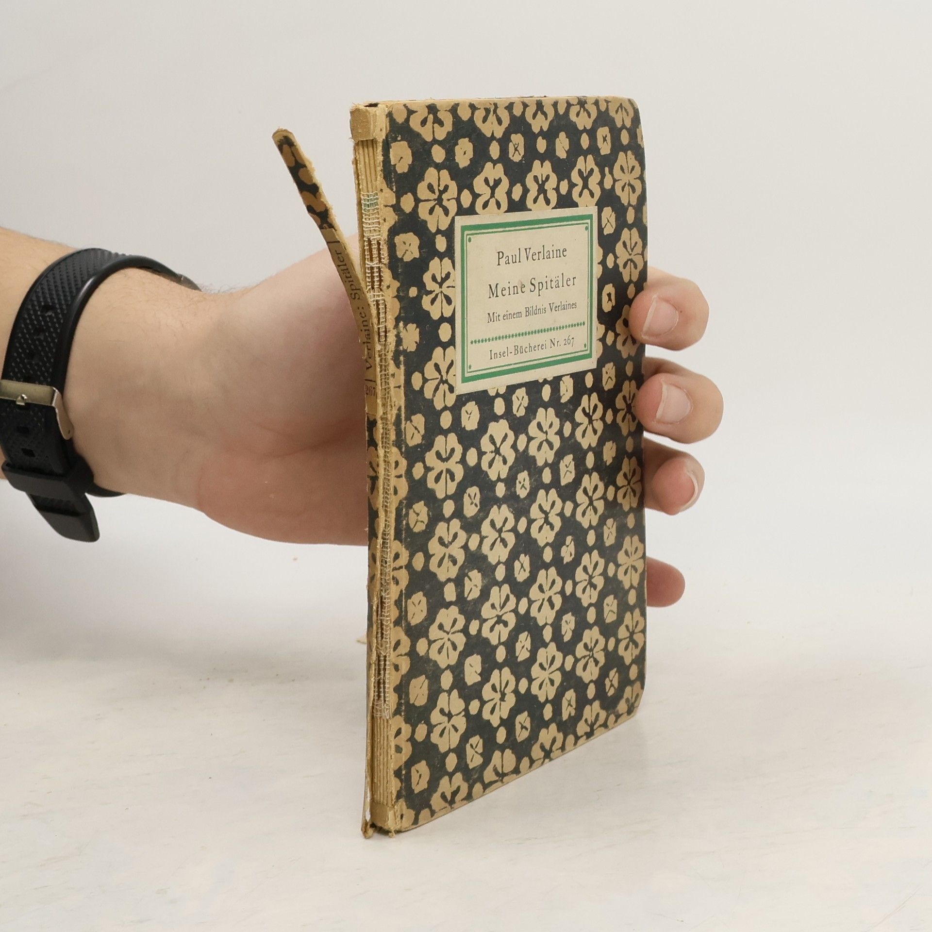 Paul Verlaine Meine Spitäler