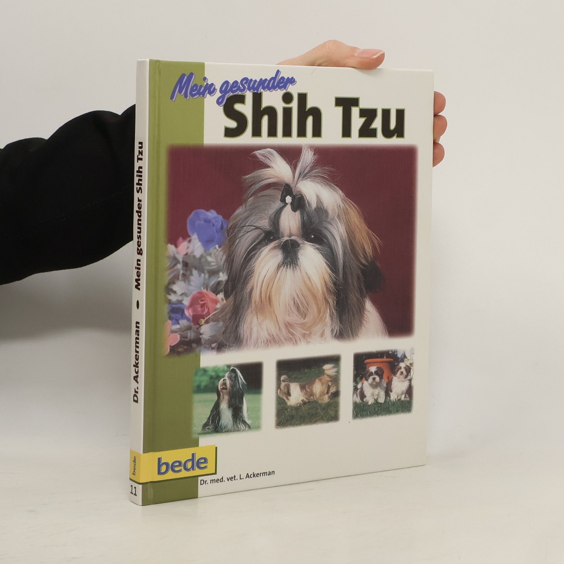 Mein gesunder Shih Tzu