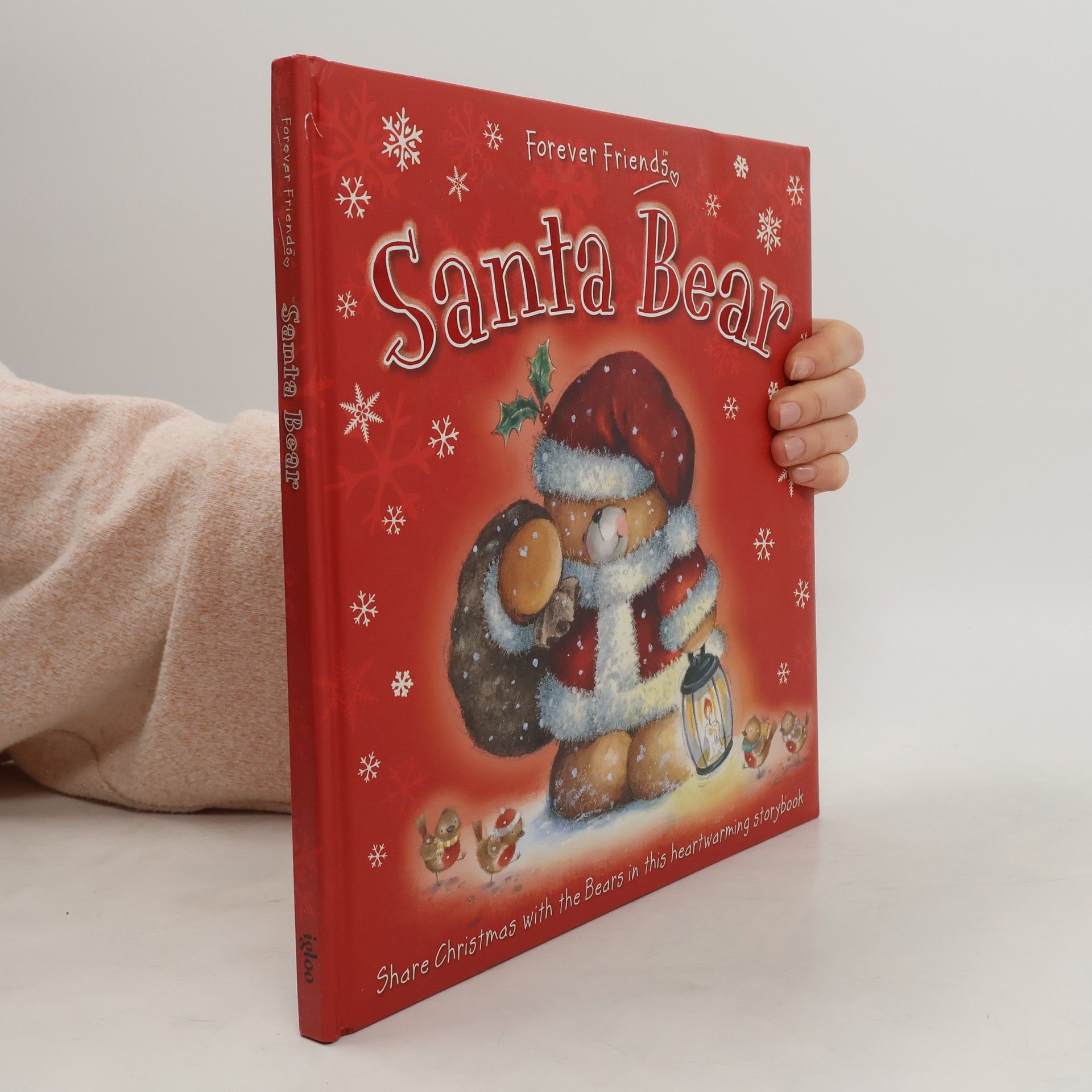 Igloo Books Santa Bear
