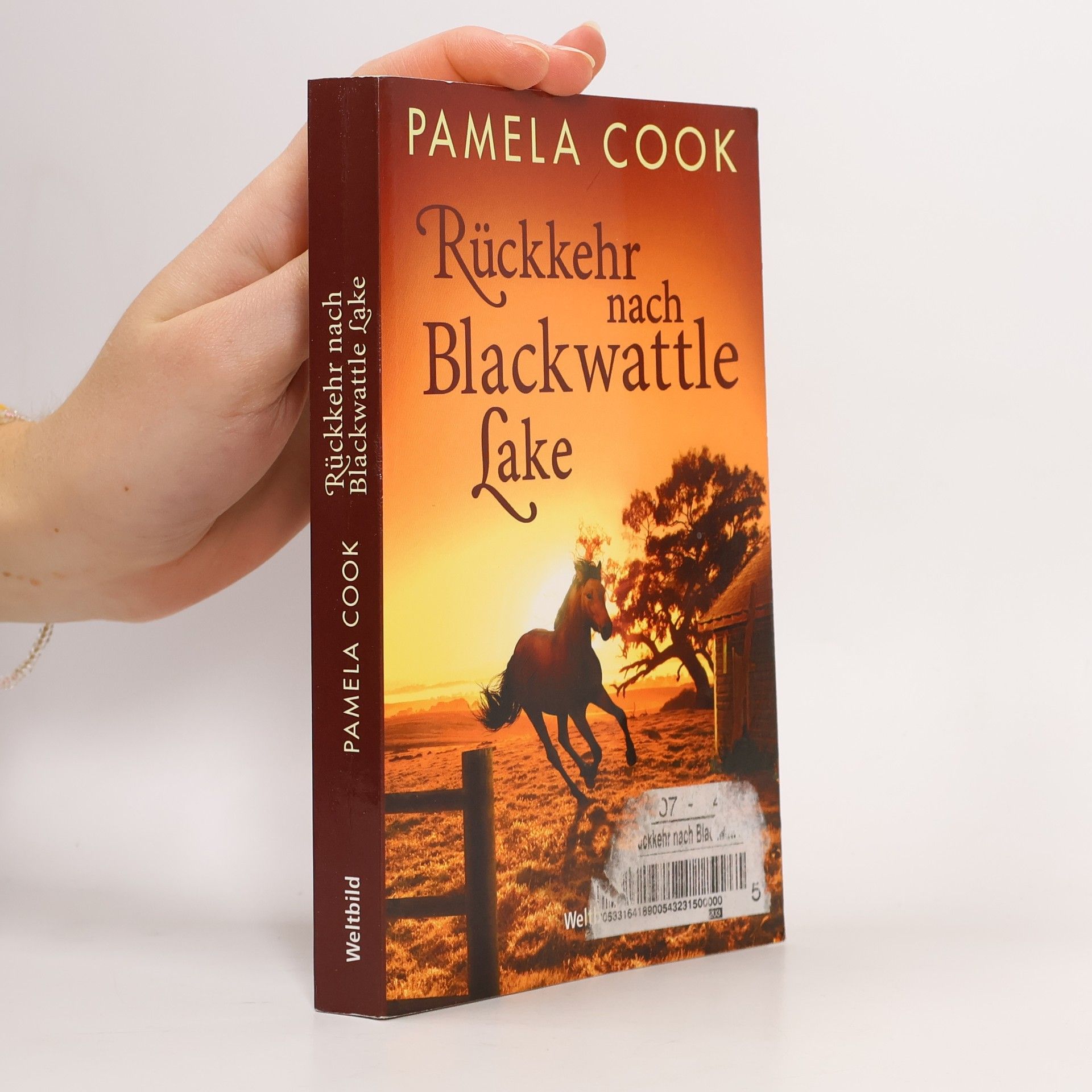 Pamela Cook Rückkehr nach Blackwattle Lake